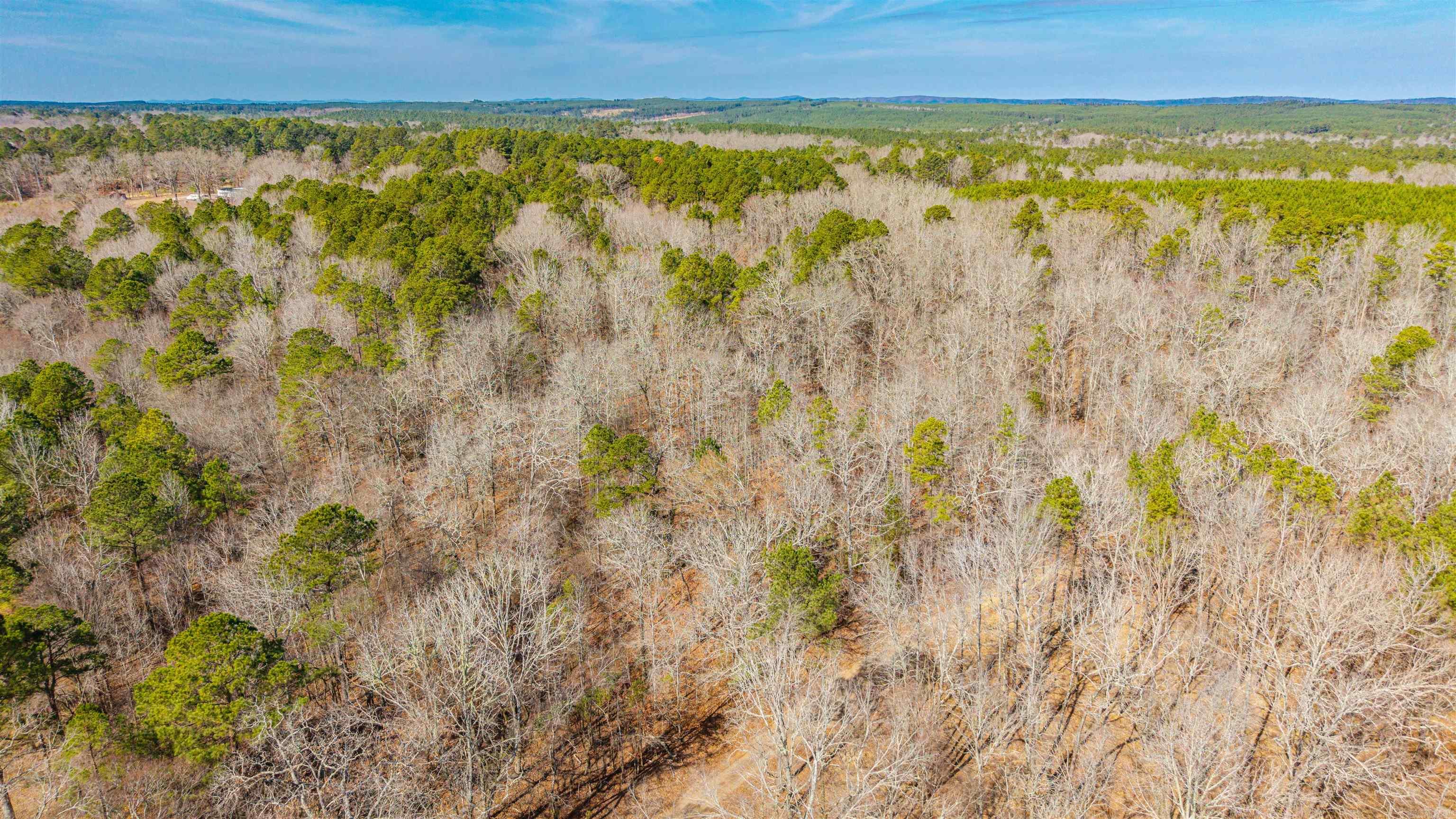 0000 Brushy Cemetery  Amity, AR