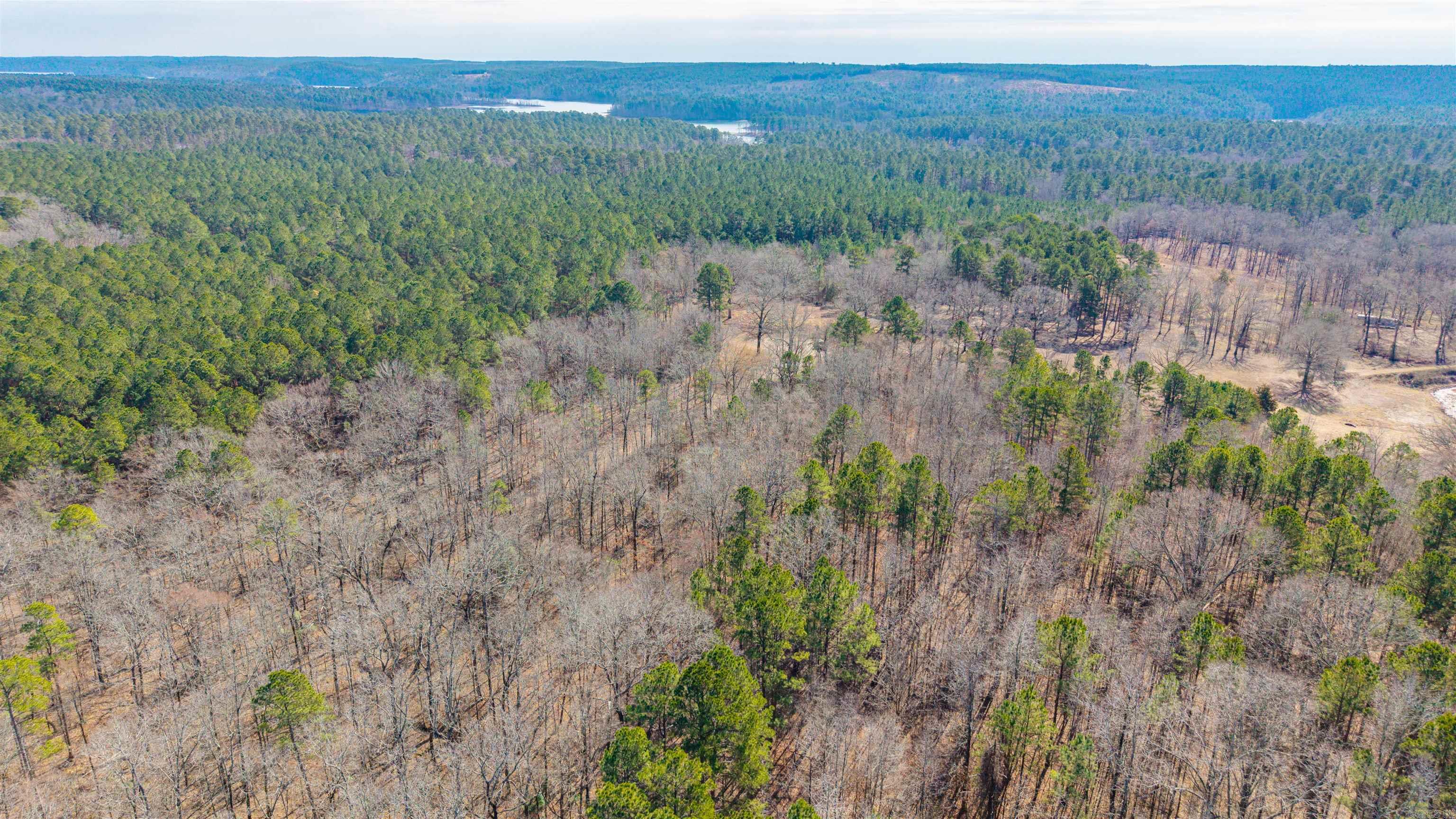 0000 Brushy Cemetery  Amity, AR