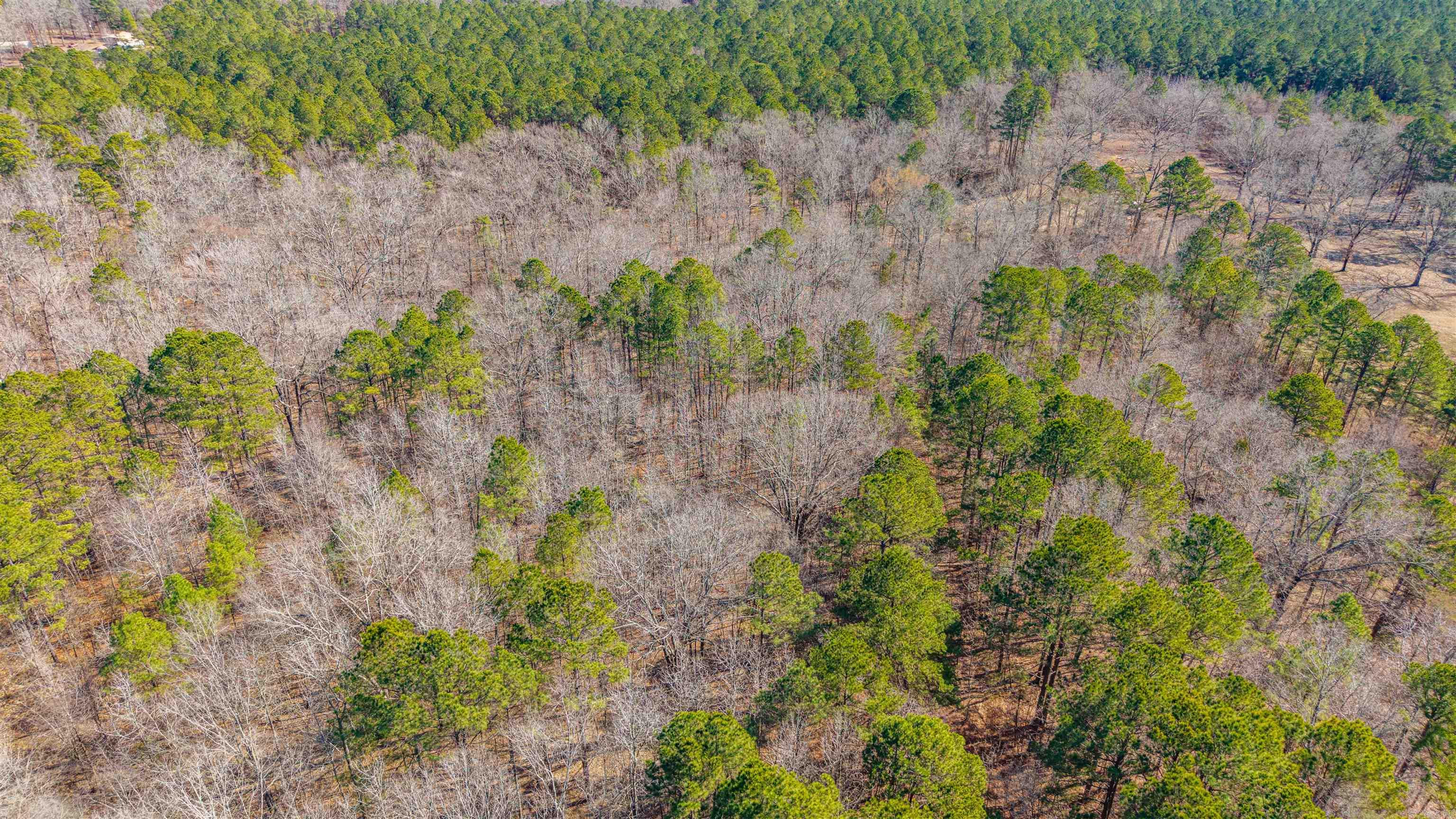 0000 Brushy Cemetery  Amity, AR