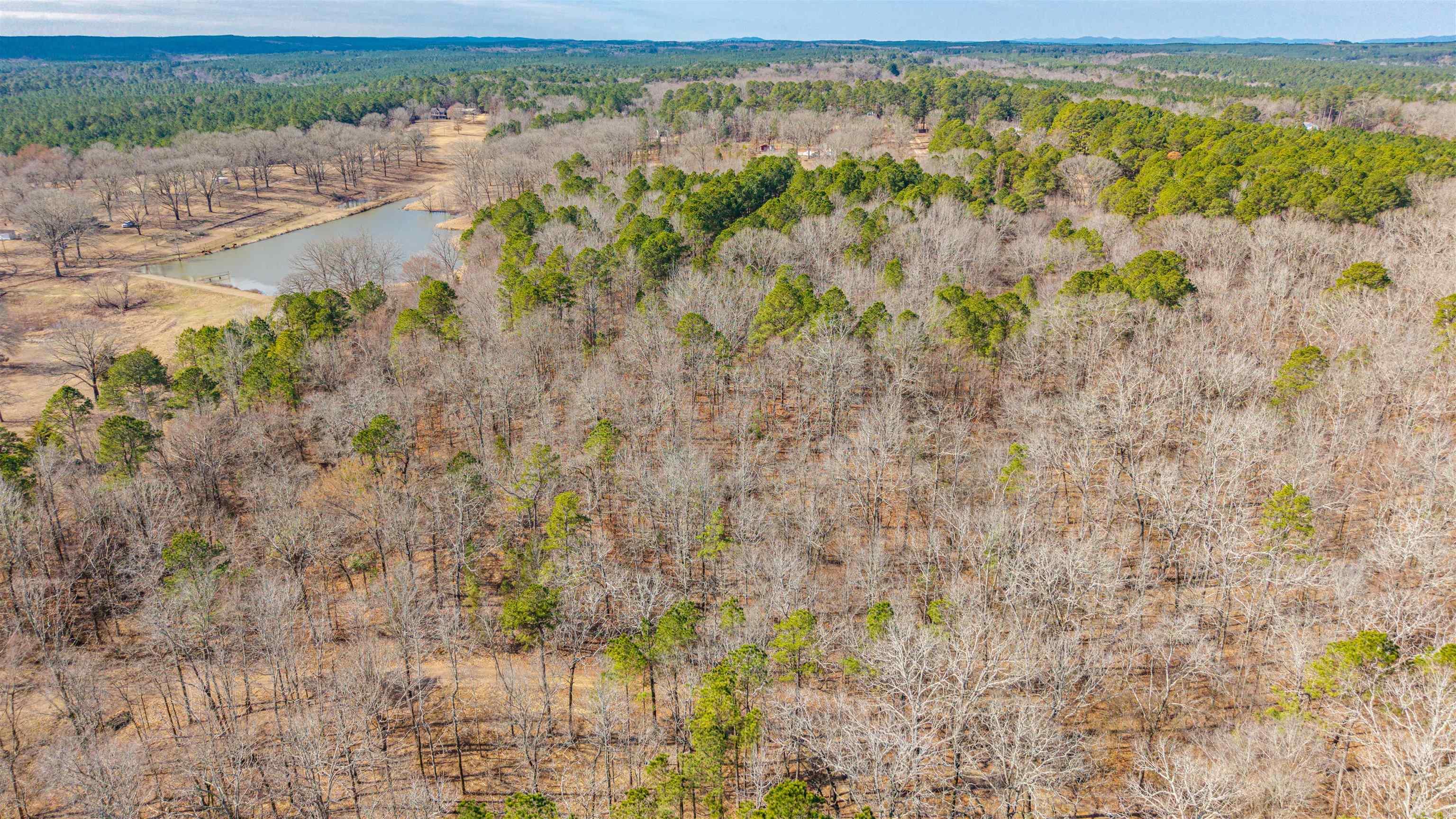 0000 Brushy Cemetery  Amity, AR