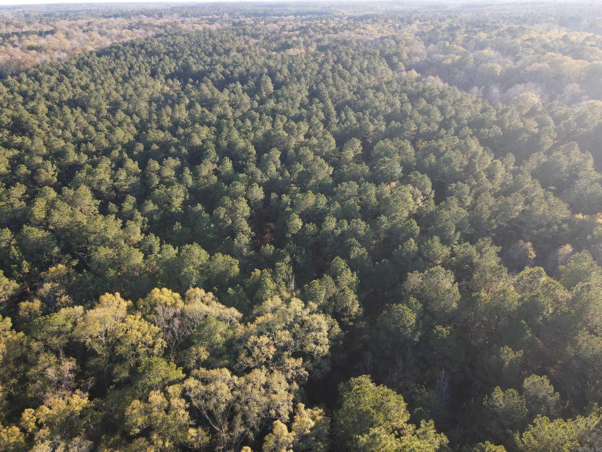 000 New London Rd  Strong, AR