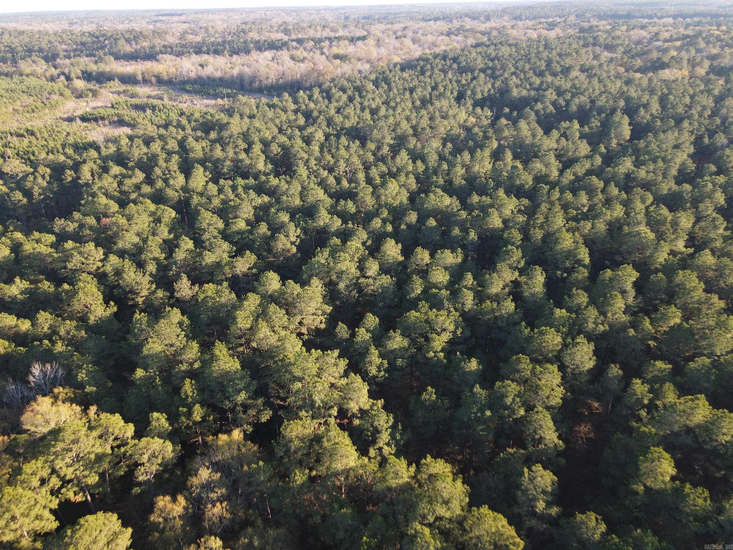 000 New London Rd  Strong, AR