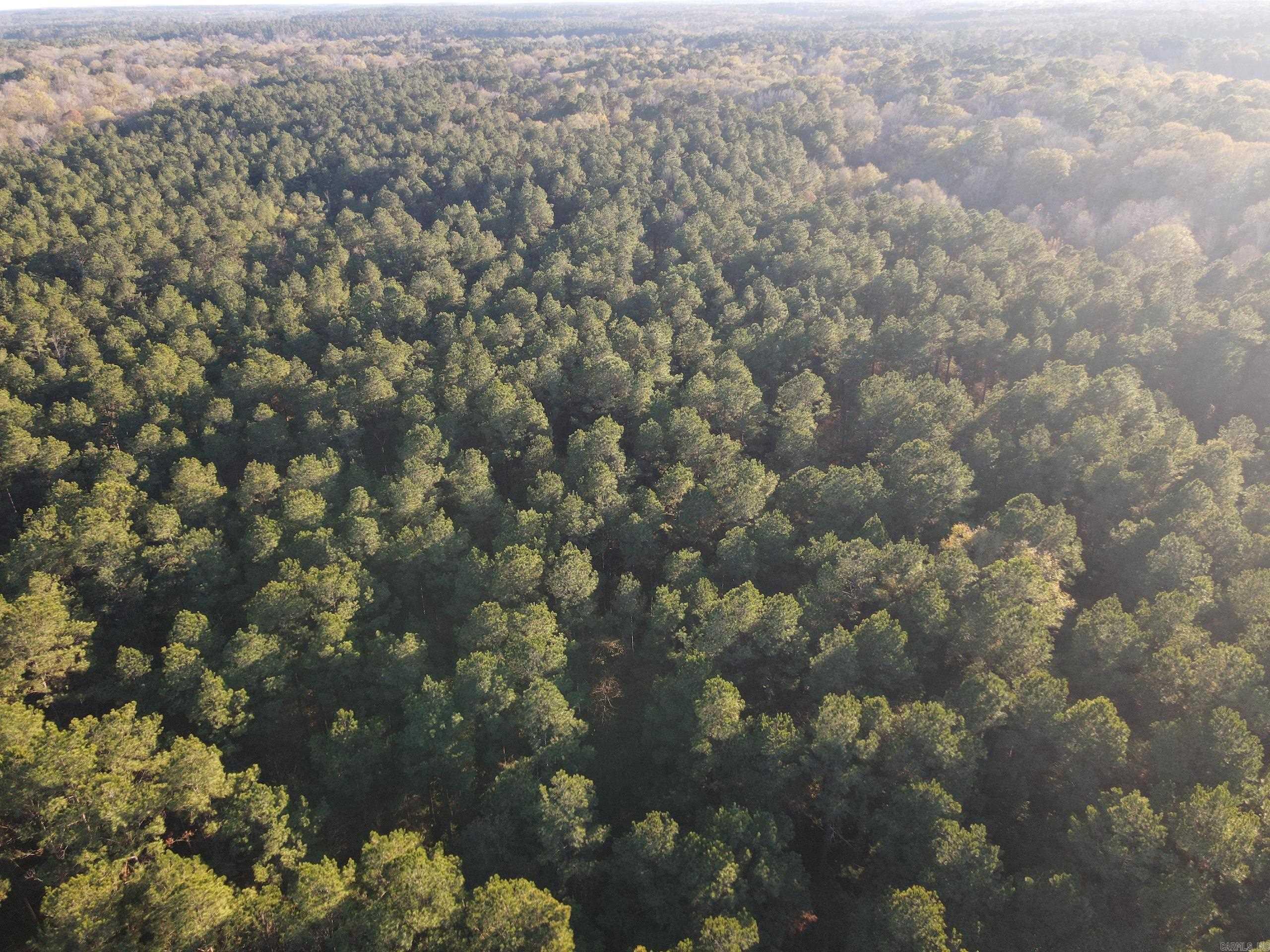 000 New London Rd  Strong, AR