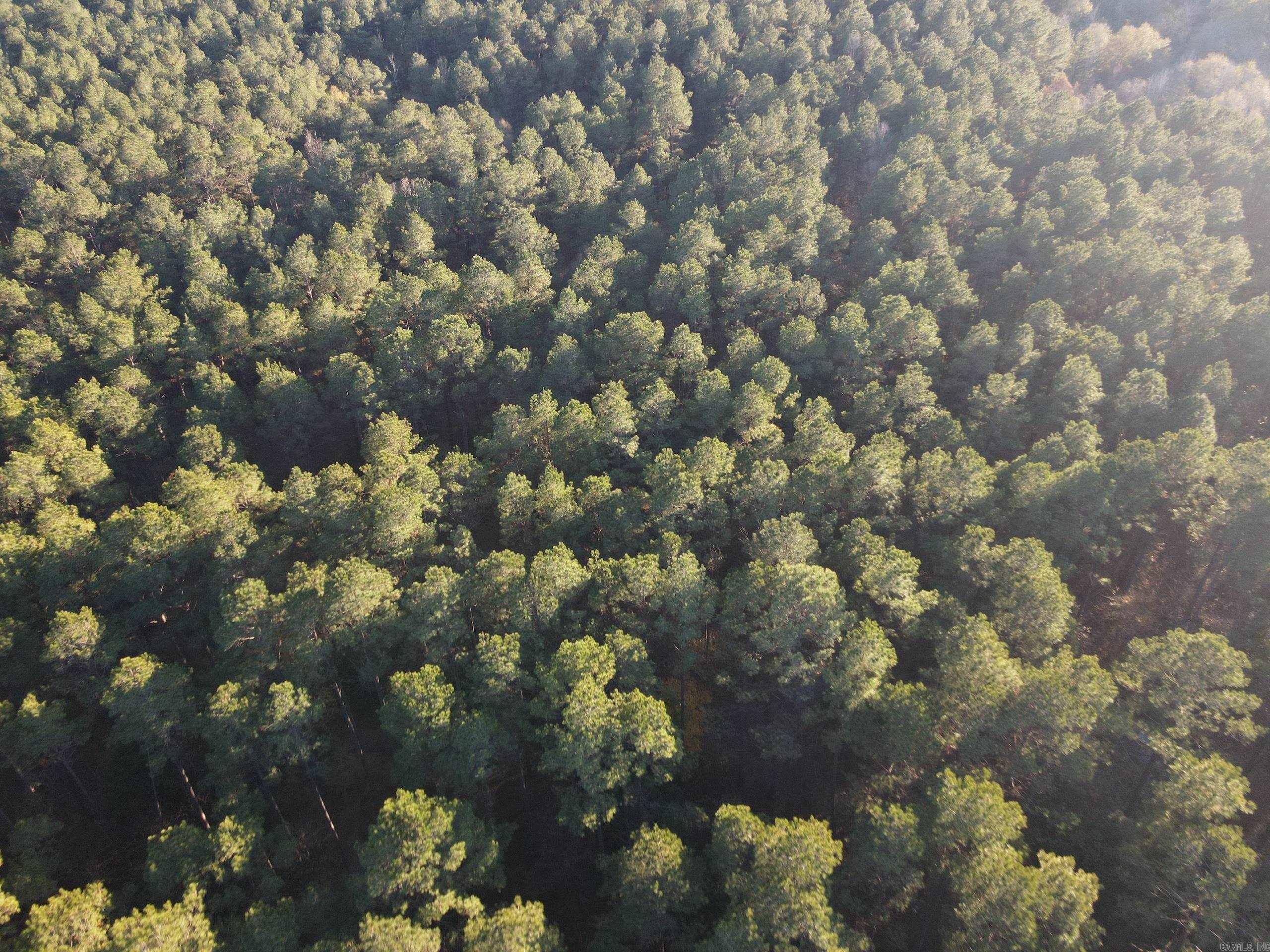 000 New London Rd  Strong, AR