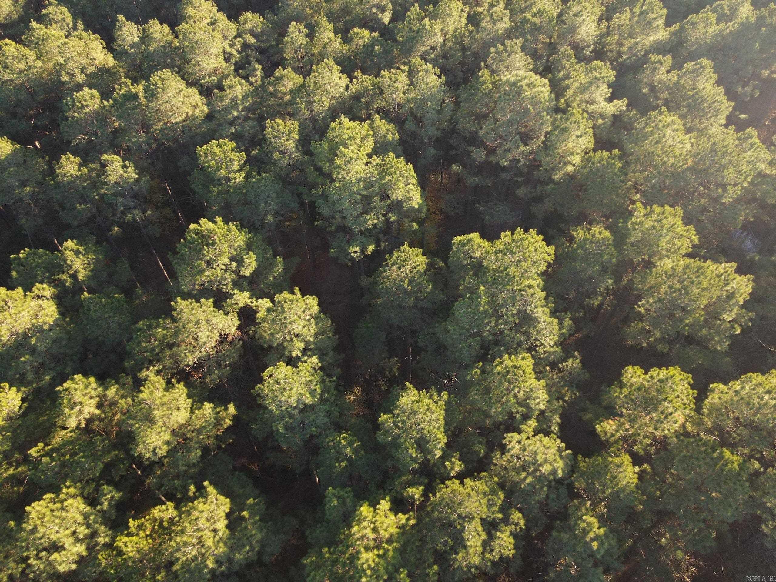 000 New London Rd  Strong, AR