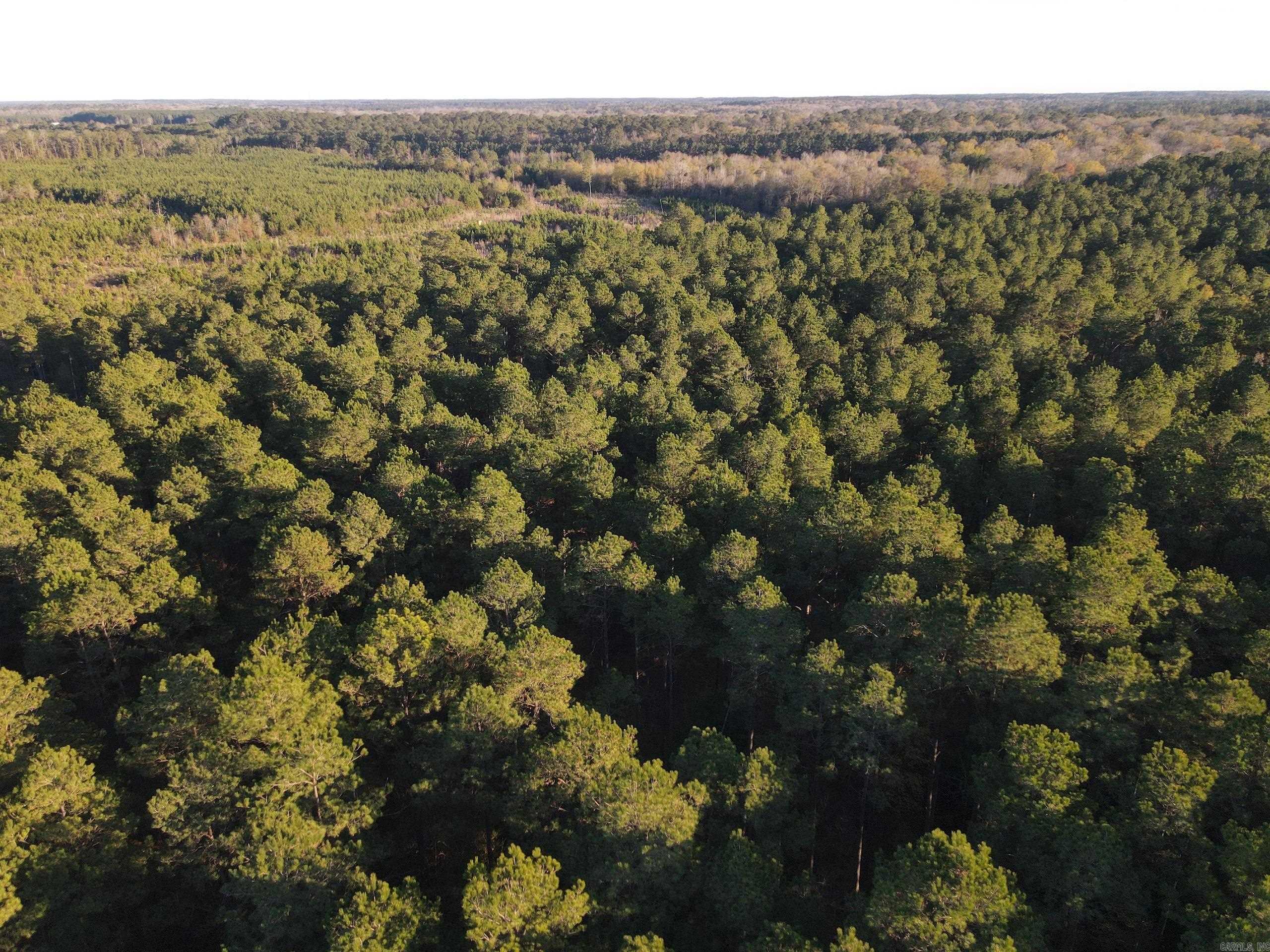 000 New London Rd  Strong, AR