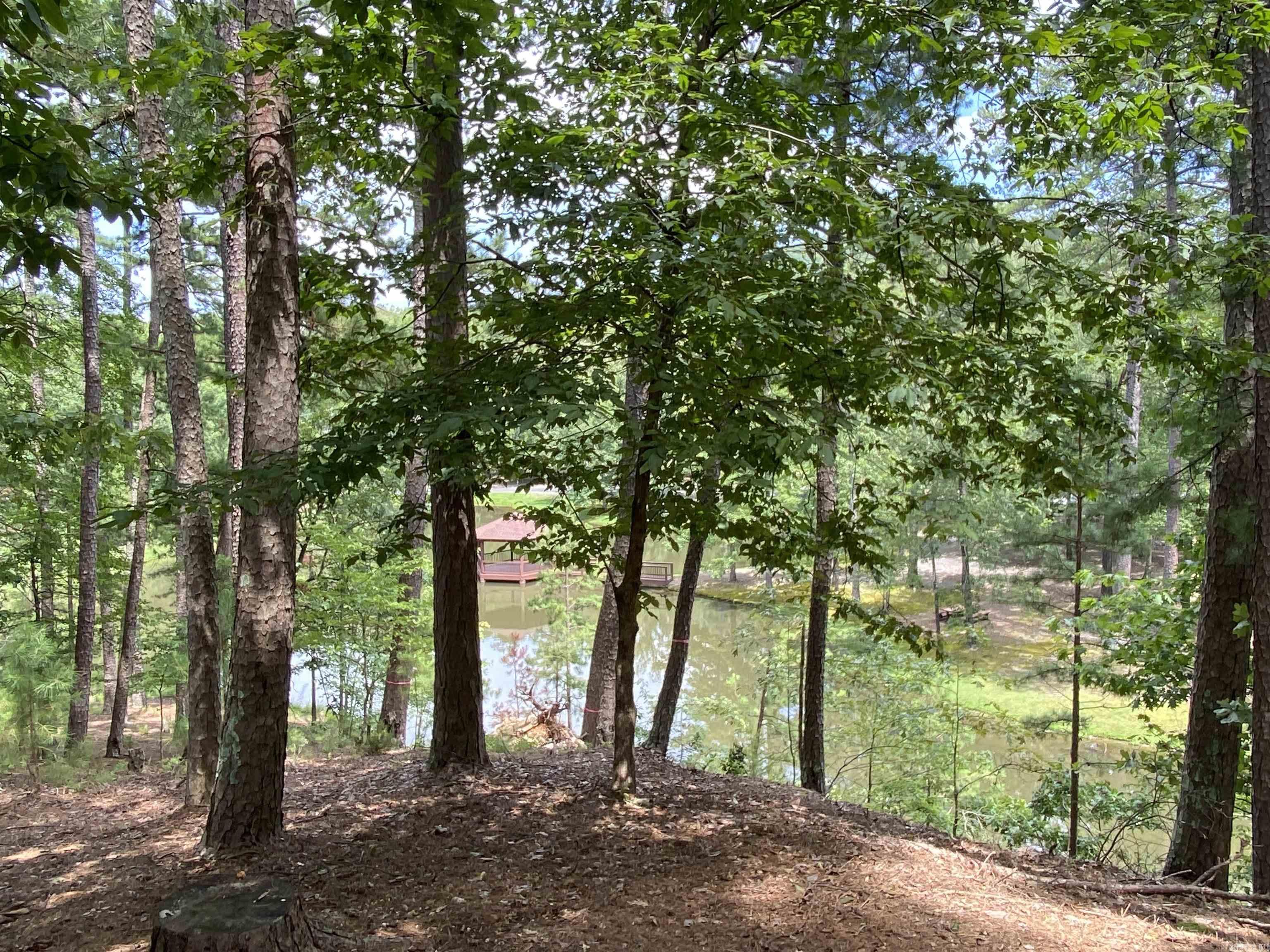 139 Ouachita  Mount Ida, AR