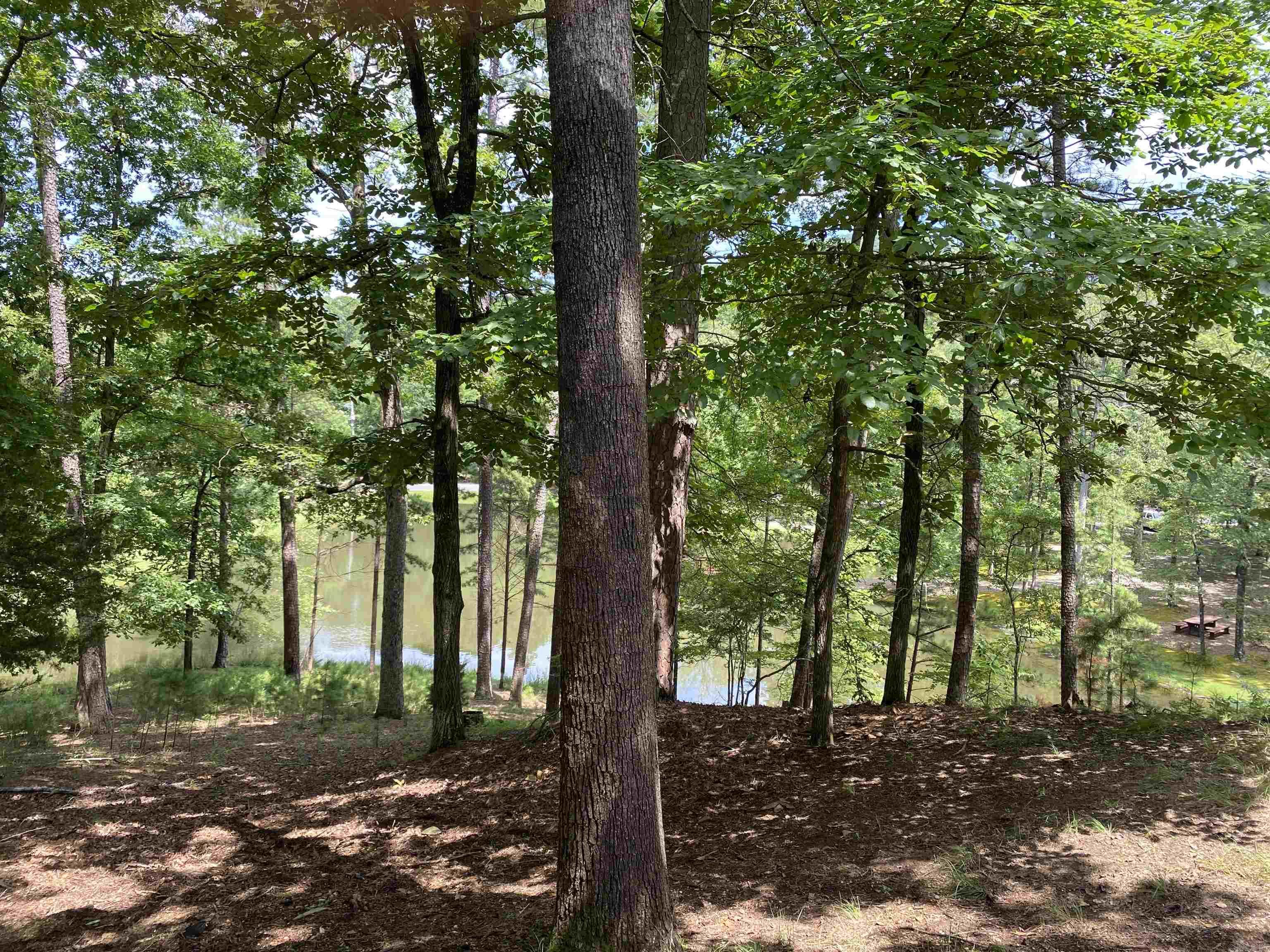 139 Ouachita  Mount Ida, AR