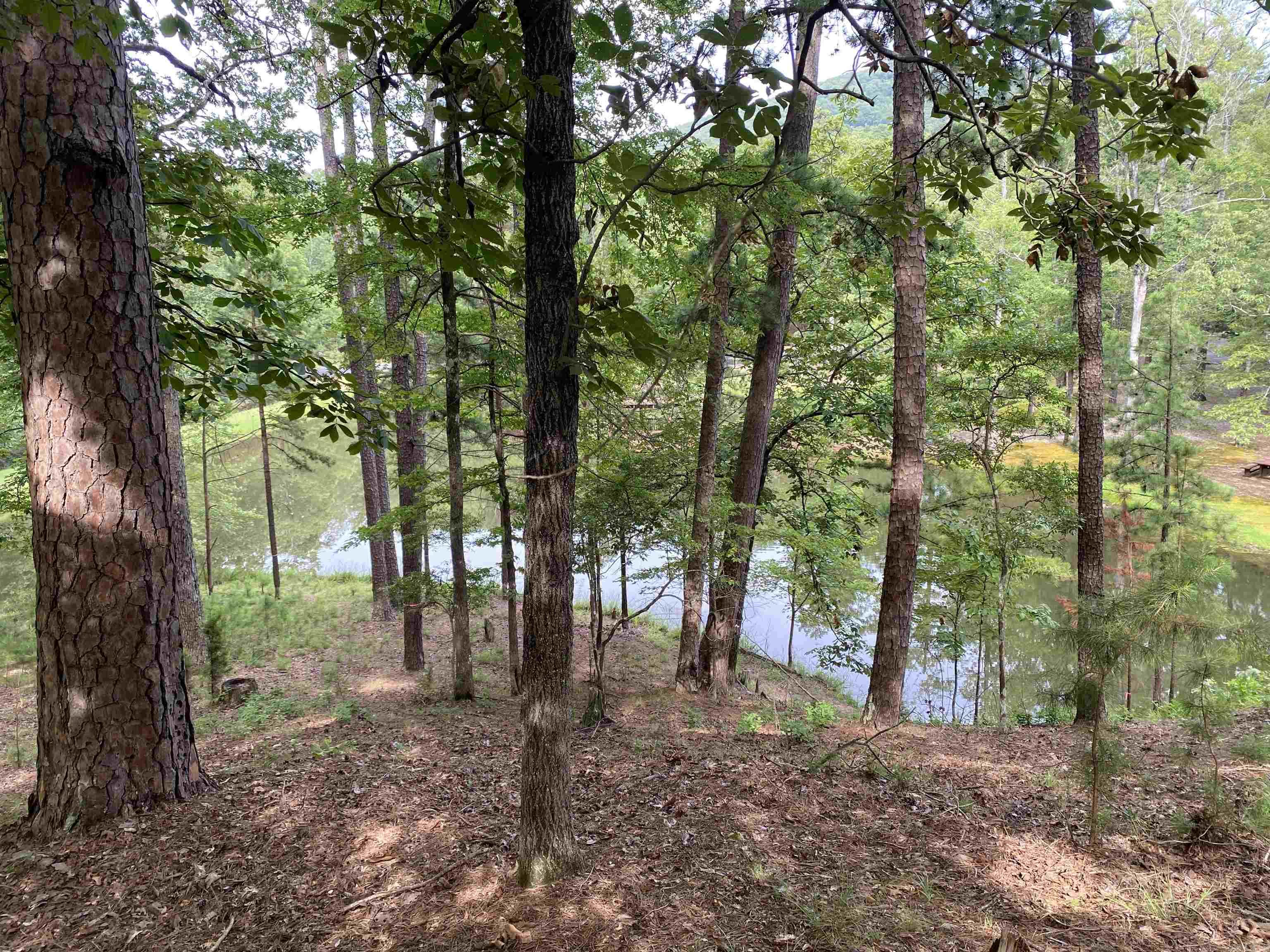 139 Ouachita  Mount Ida, AR