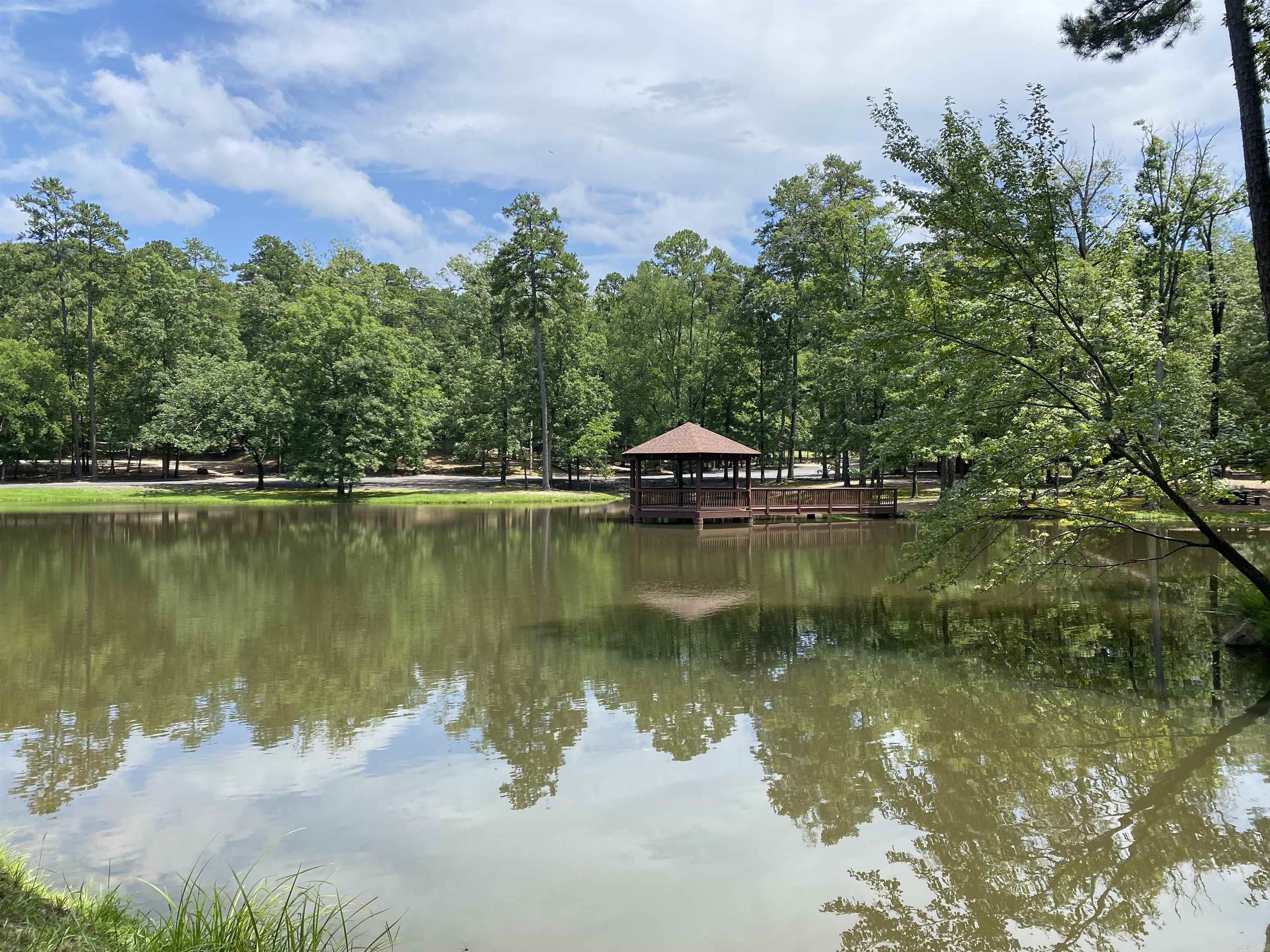 139 Ouachita  Mount Ida, AR