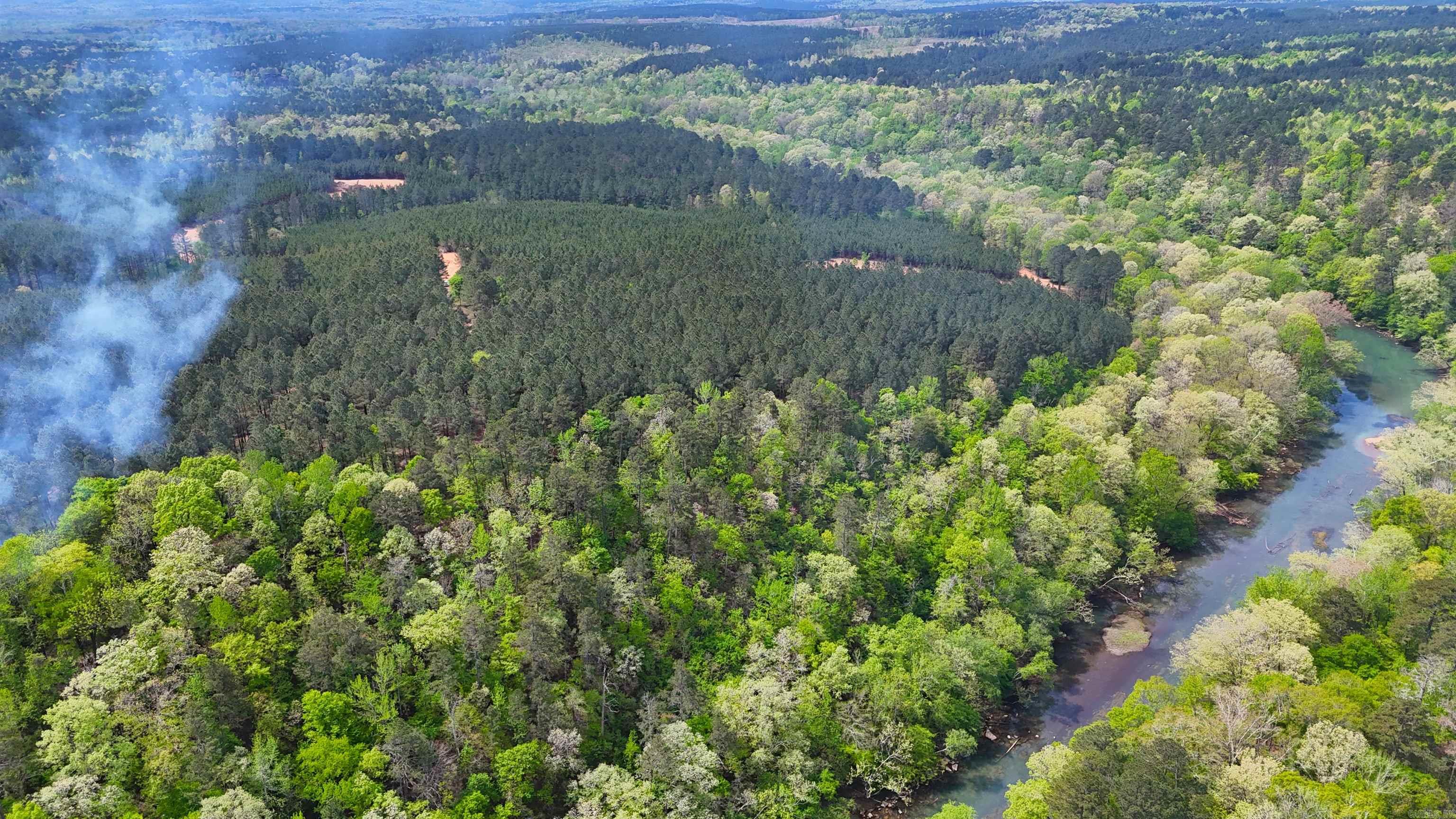 TBD Quail  Murfreesboro, AR