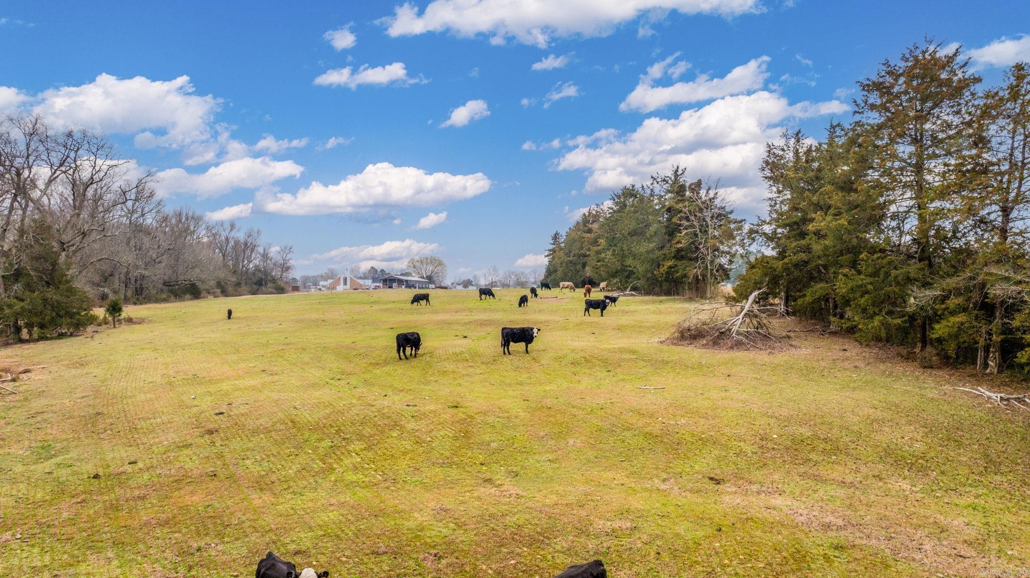 17 N Bolden  Guy, AR