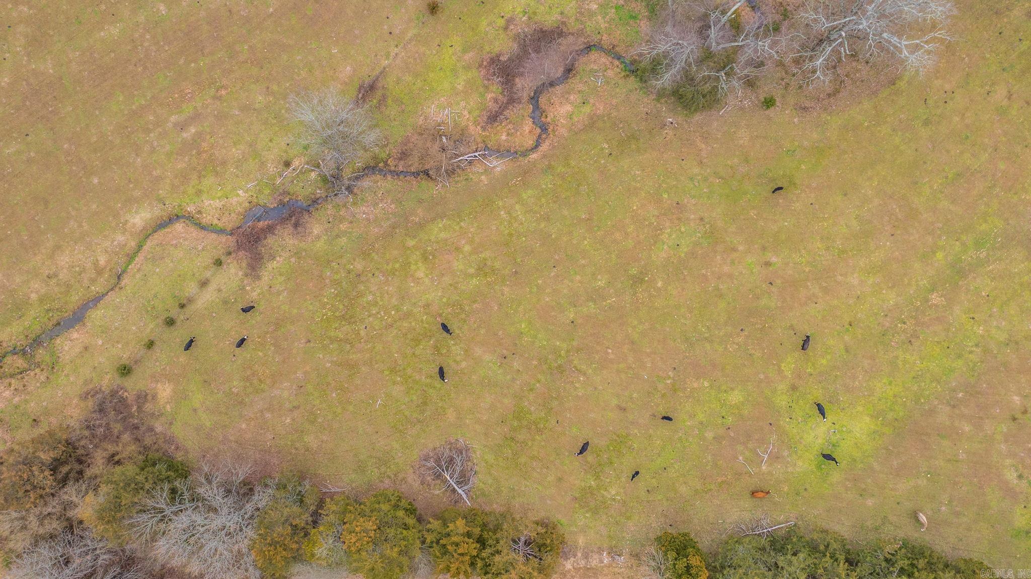 17 N Bolden  Guy, AR