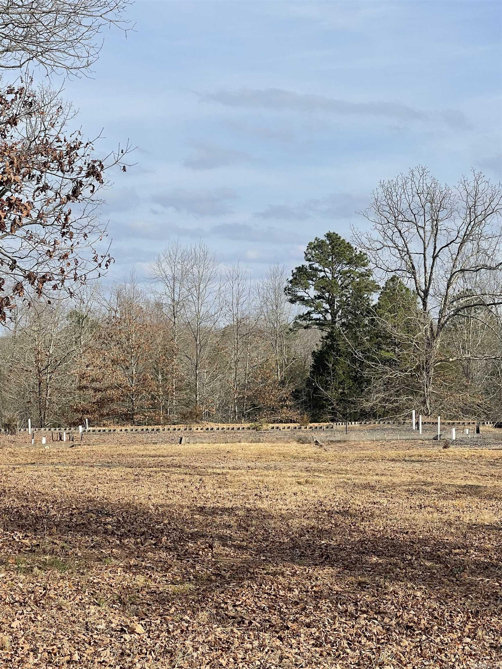 Lots 80 and 81 Hawks Circle  Greers Ferry, AR