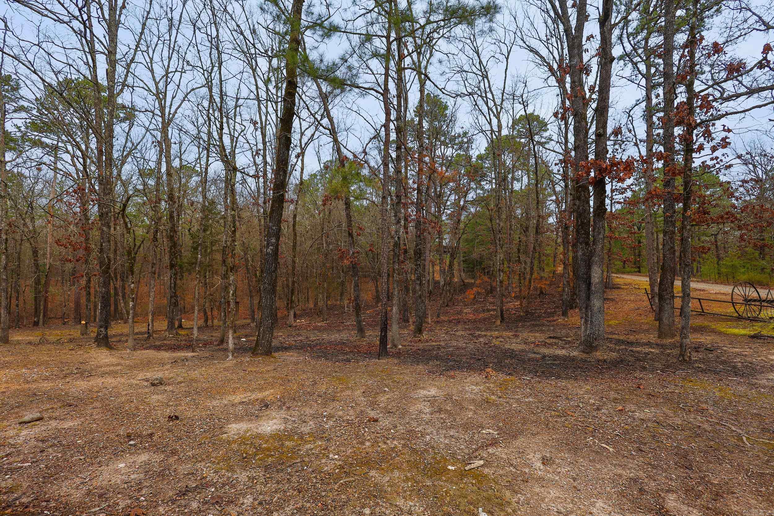 59 Easy  Mount Ida, AR