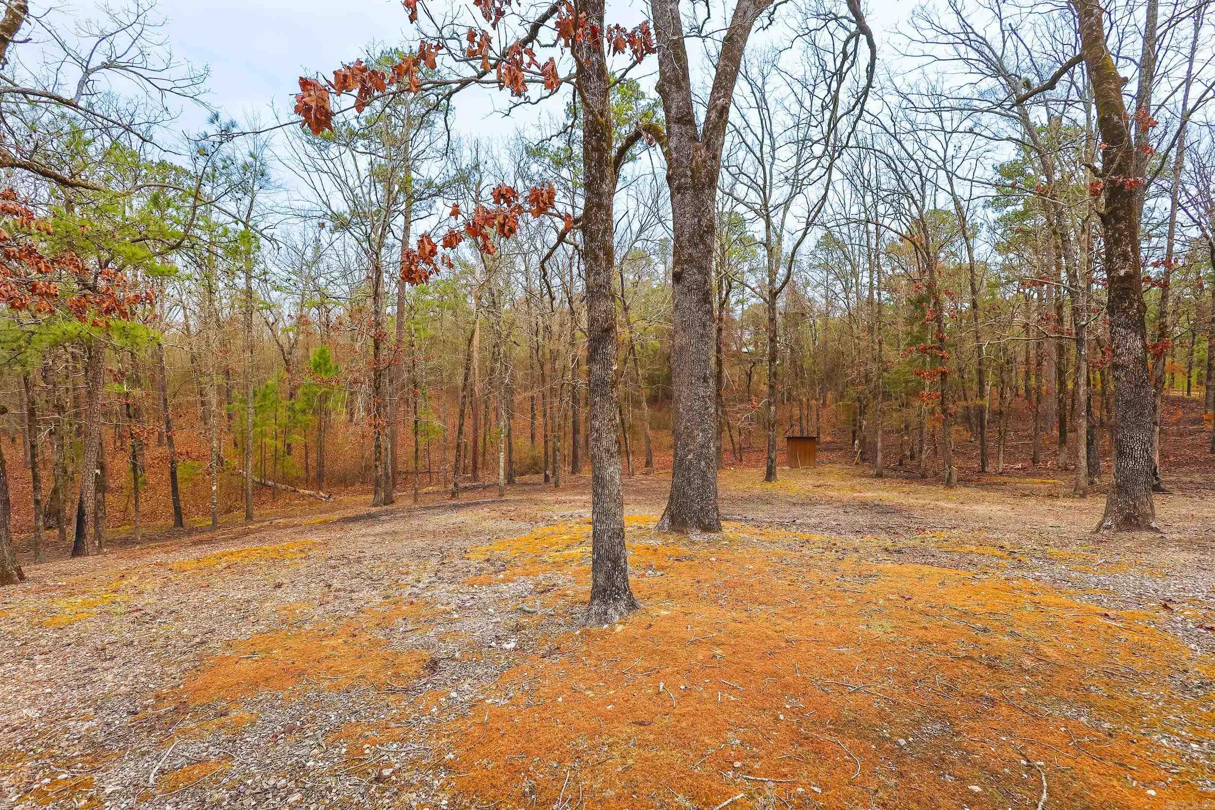 59 Easy  Mount Ida, AR