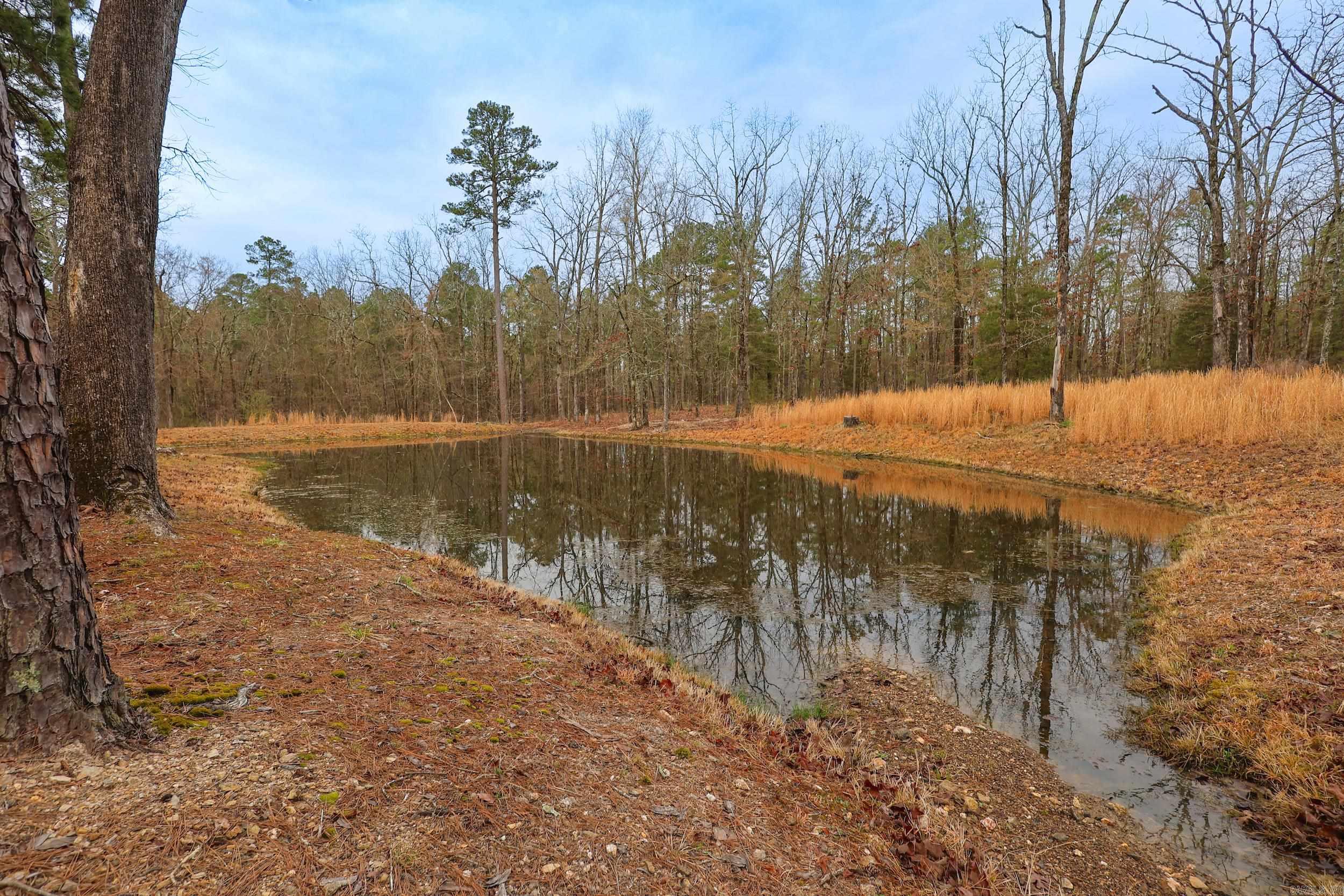 59 Easy  Mount Ida, AR