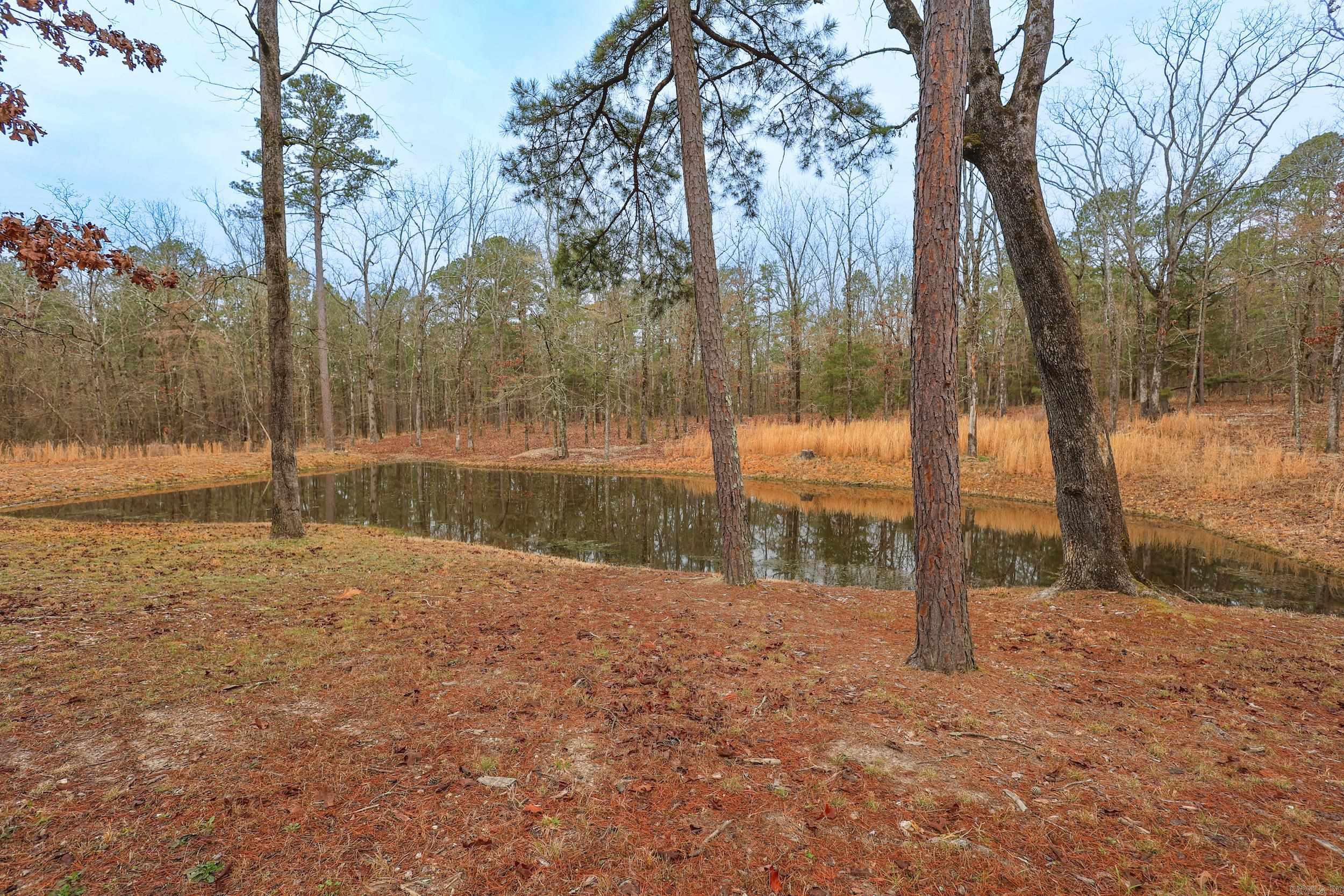 59 Easy  Mount Ida, AR