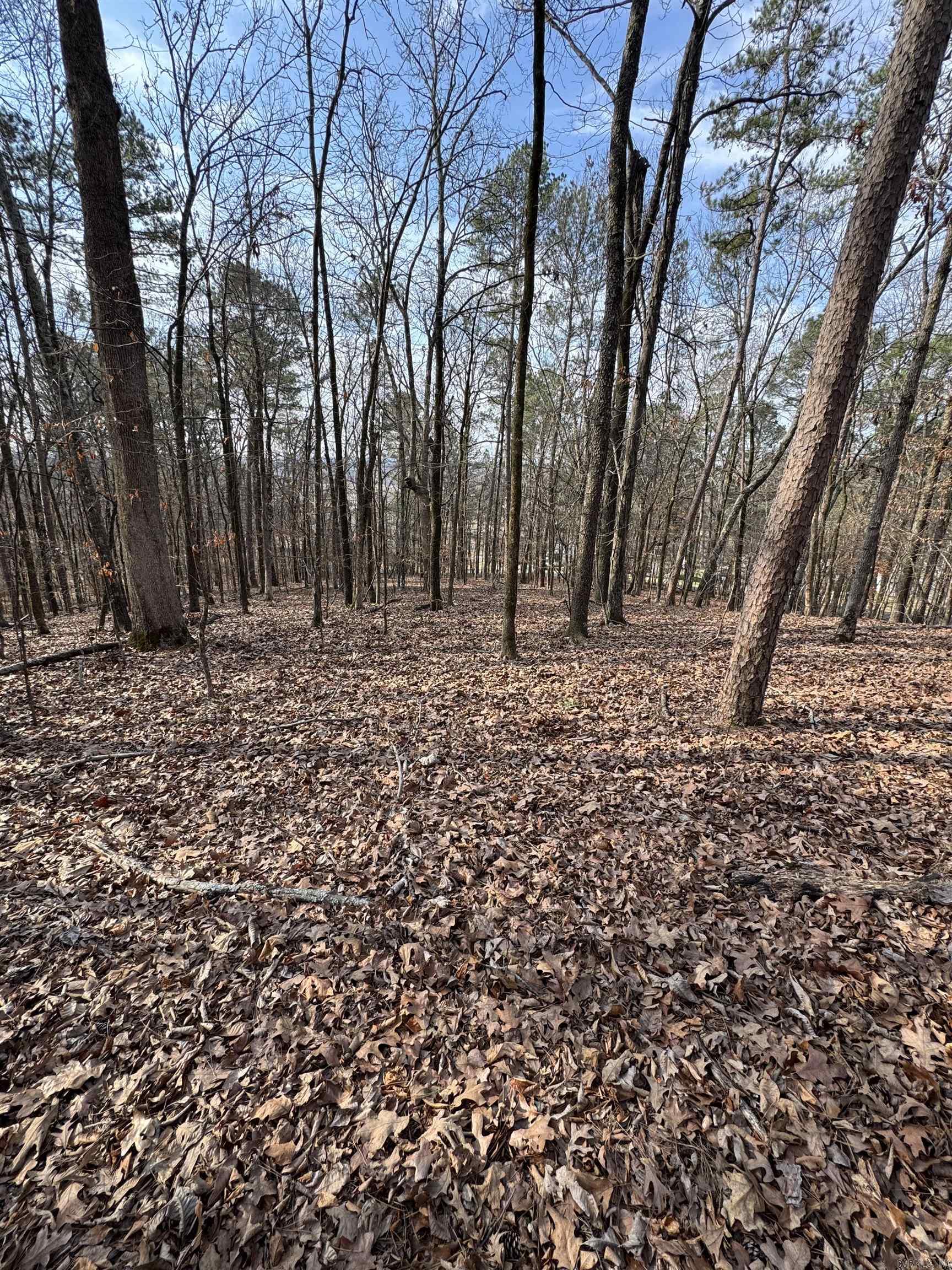 00 Hays  Hot Springs, AR