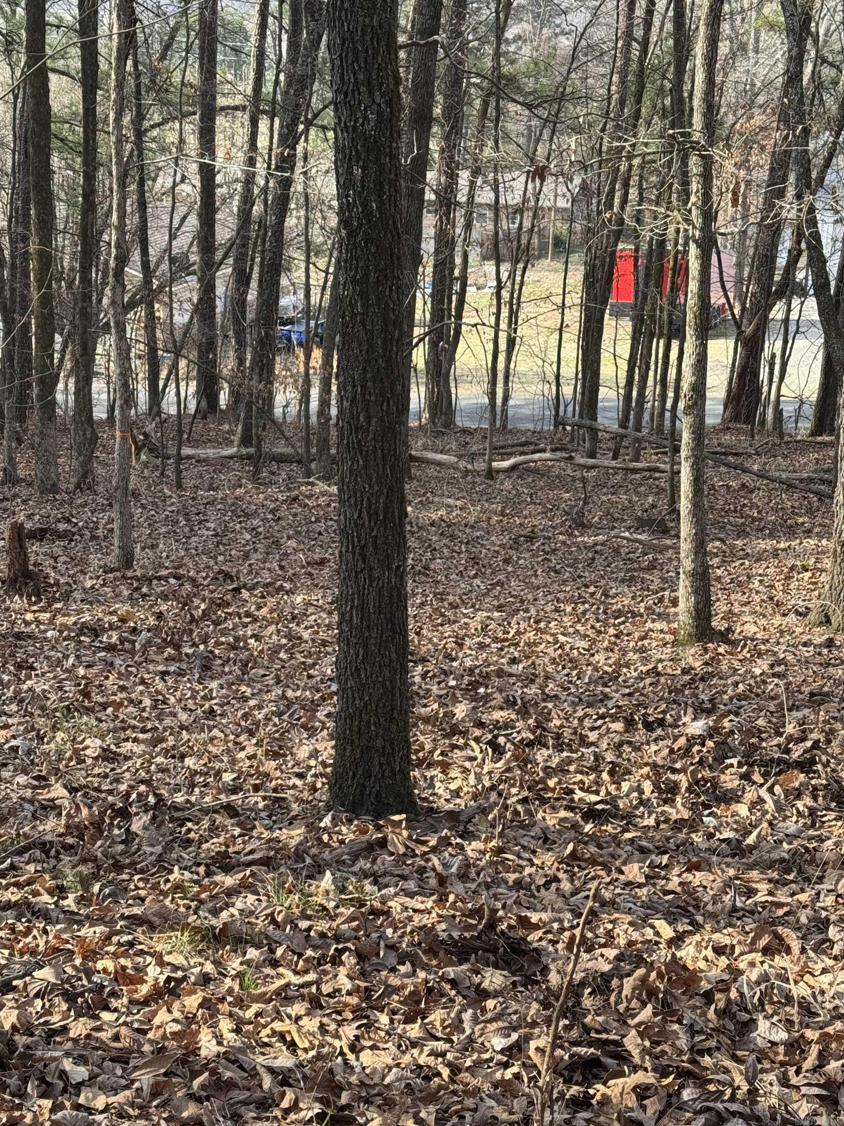 00 Hays  Hot Springs, AR