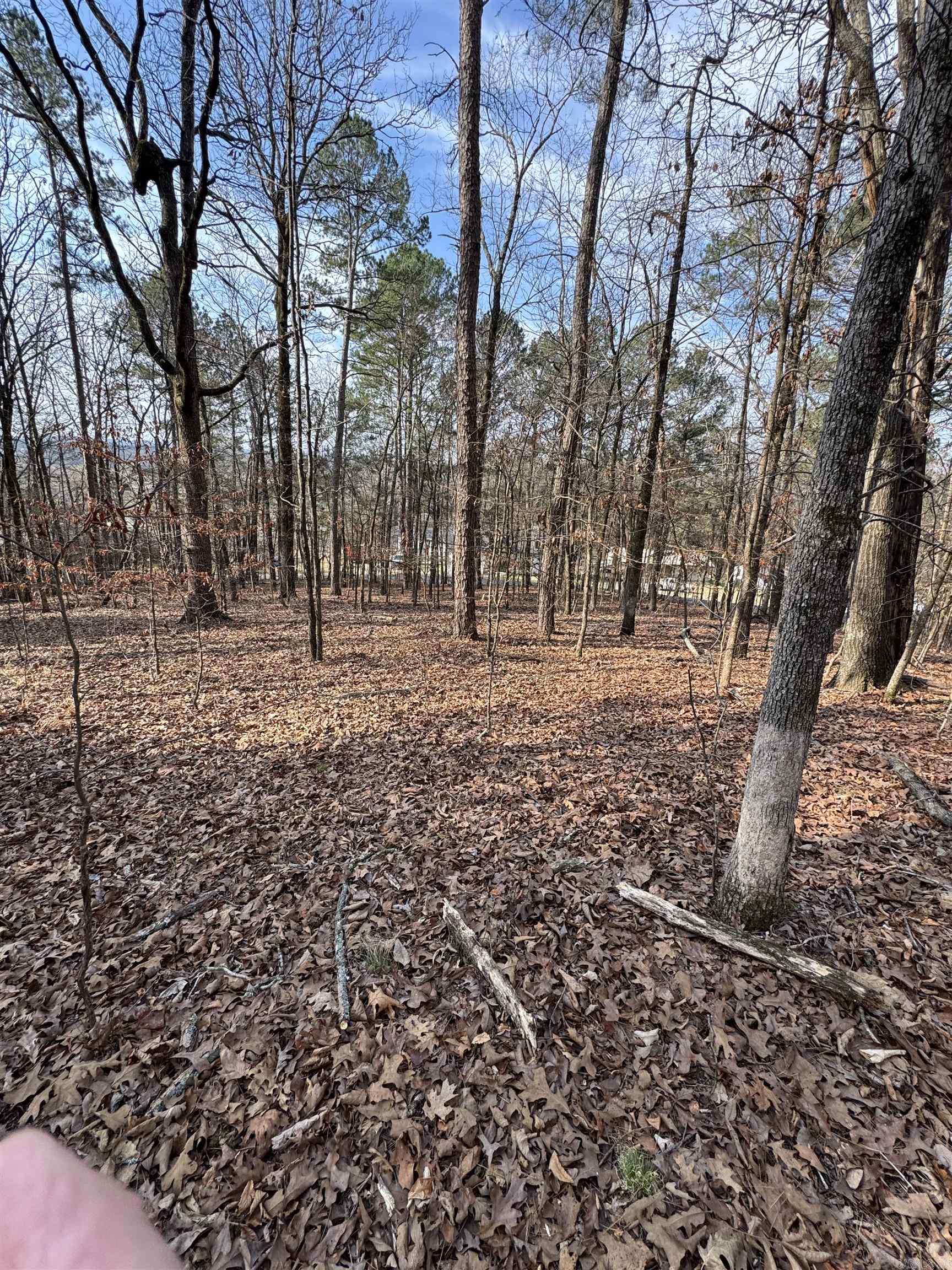 00 Hays  Hot Springs, AR