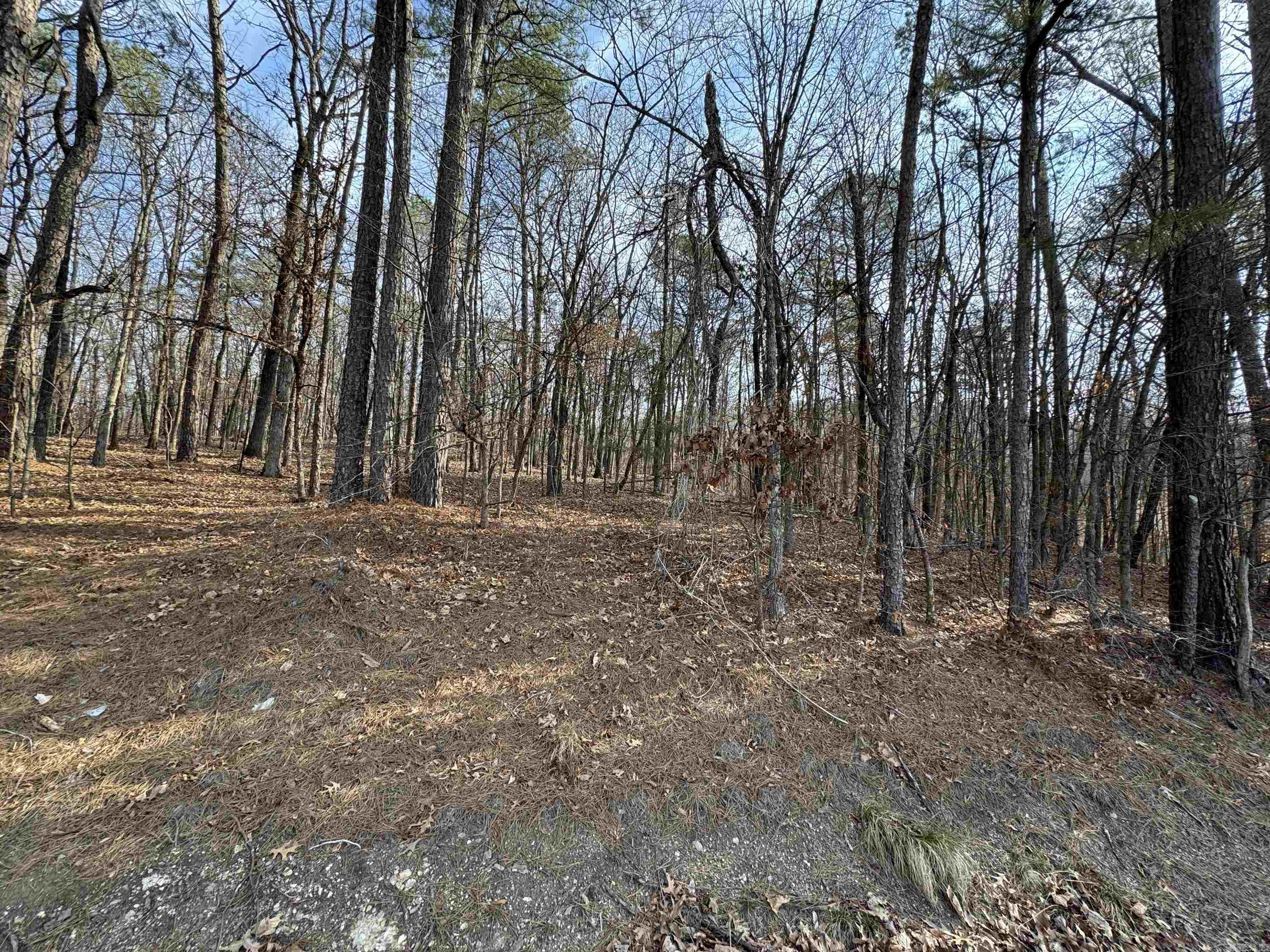 00 Hays  Hot Springs, AR