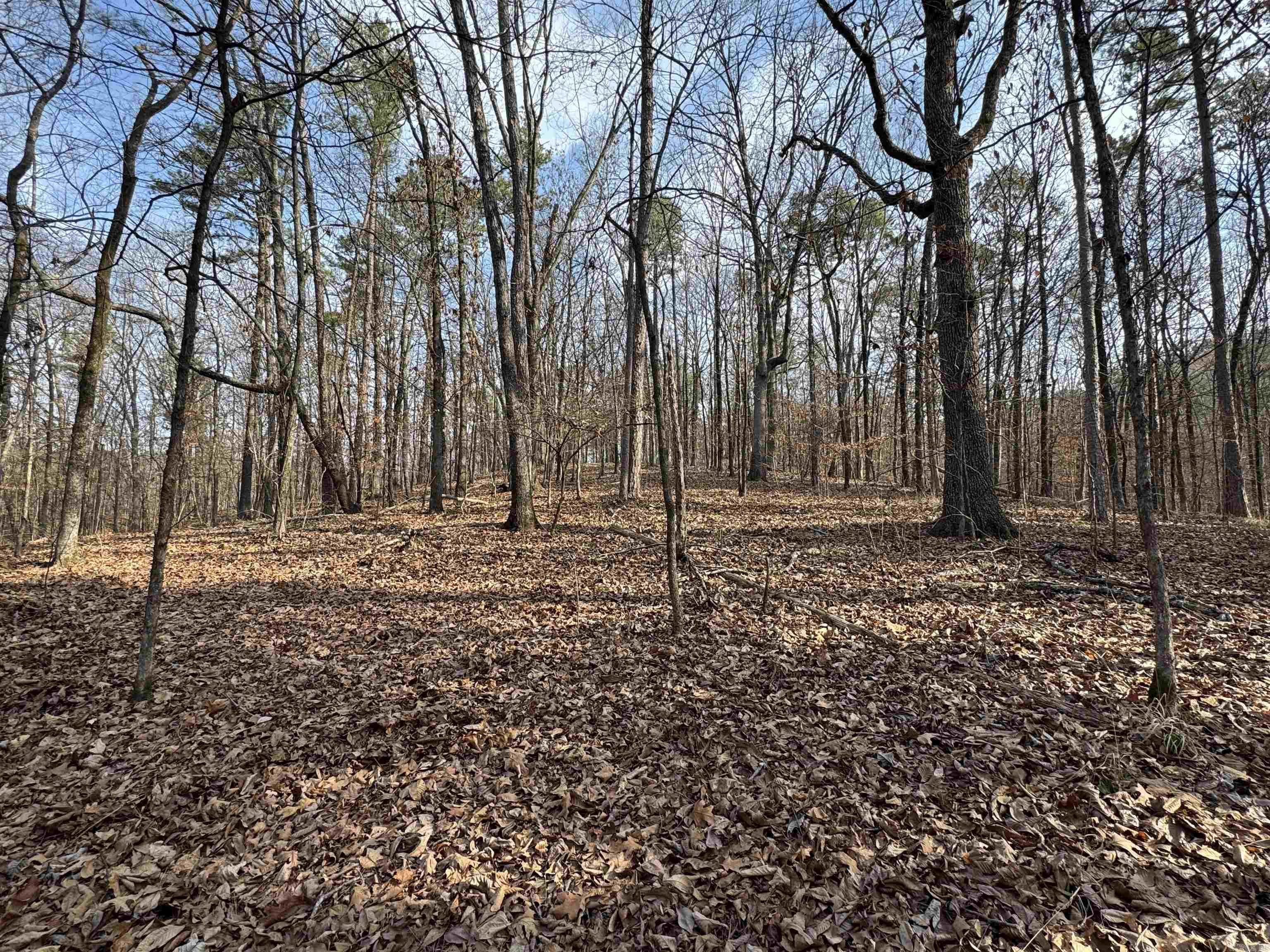 00 Hays  Hot Springs, AR