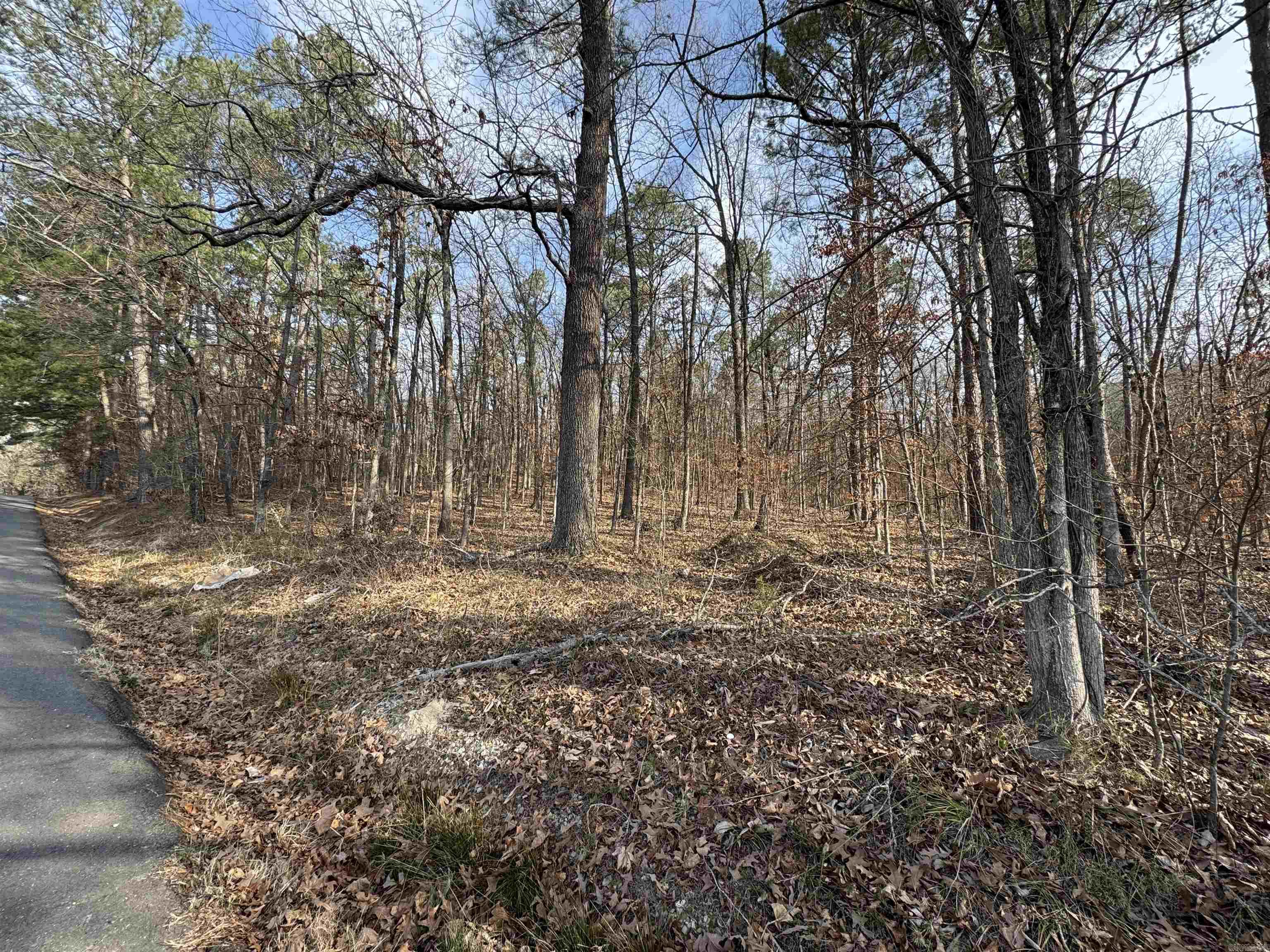 00 Hays  Hot Springs, AR