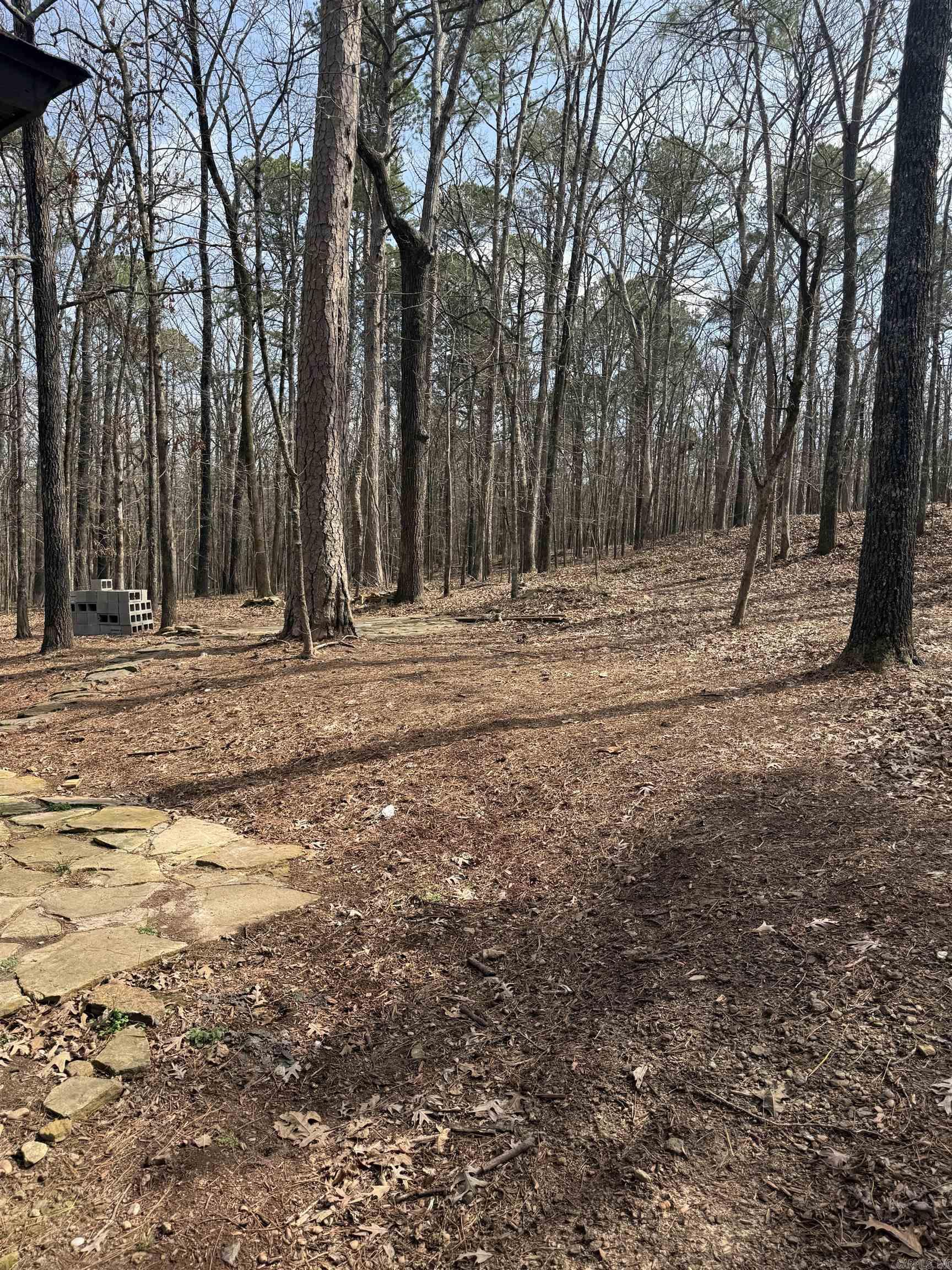 2409 Tannenbaum Road Drasco, AR 72530