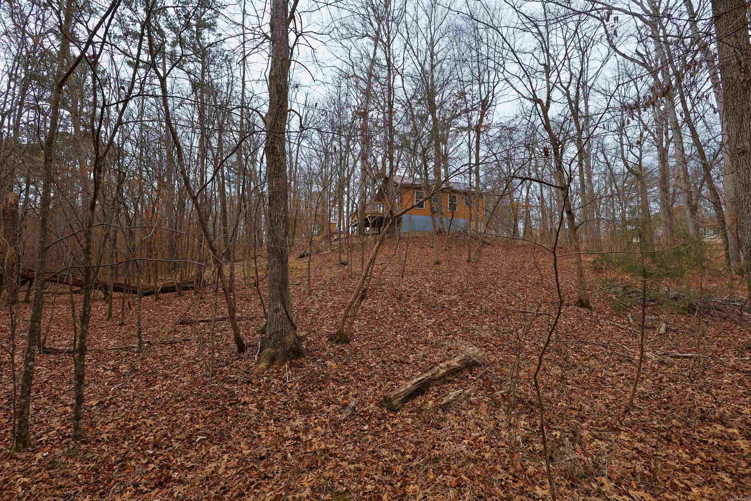 195 Bearce  Mount Ida, AR