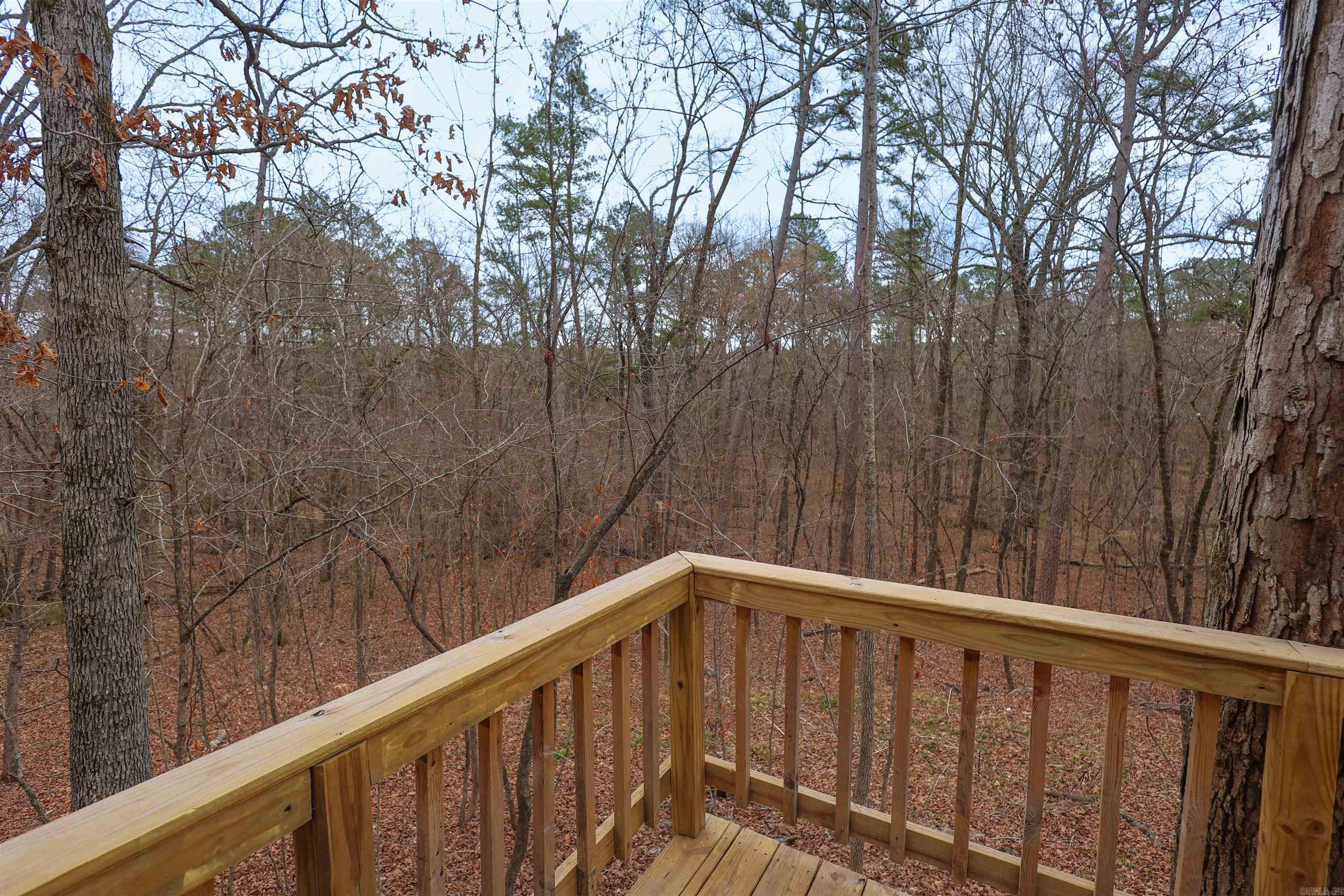 195 Bearce  Mount Ida, AR