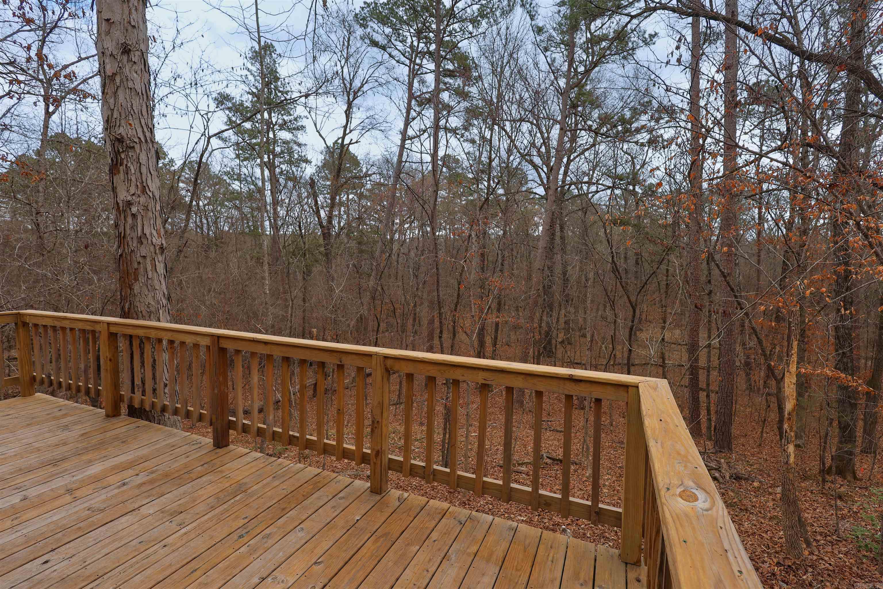 195 Bearce  Mount Ida, AR