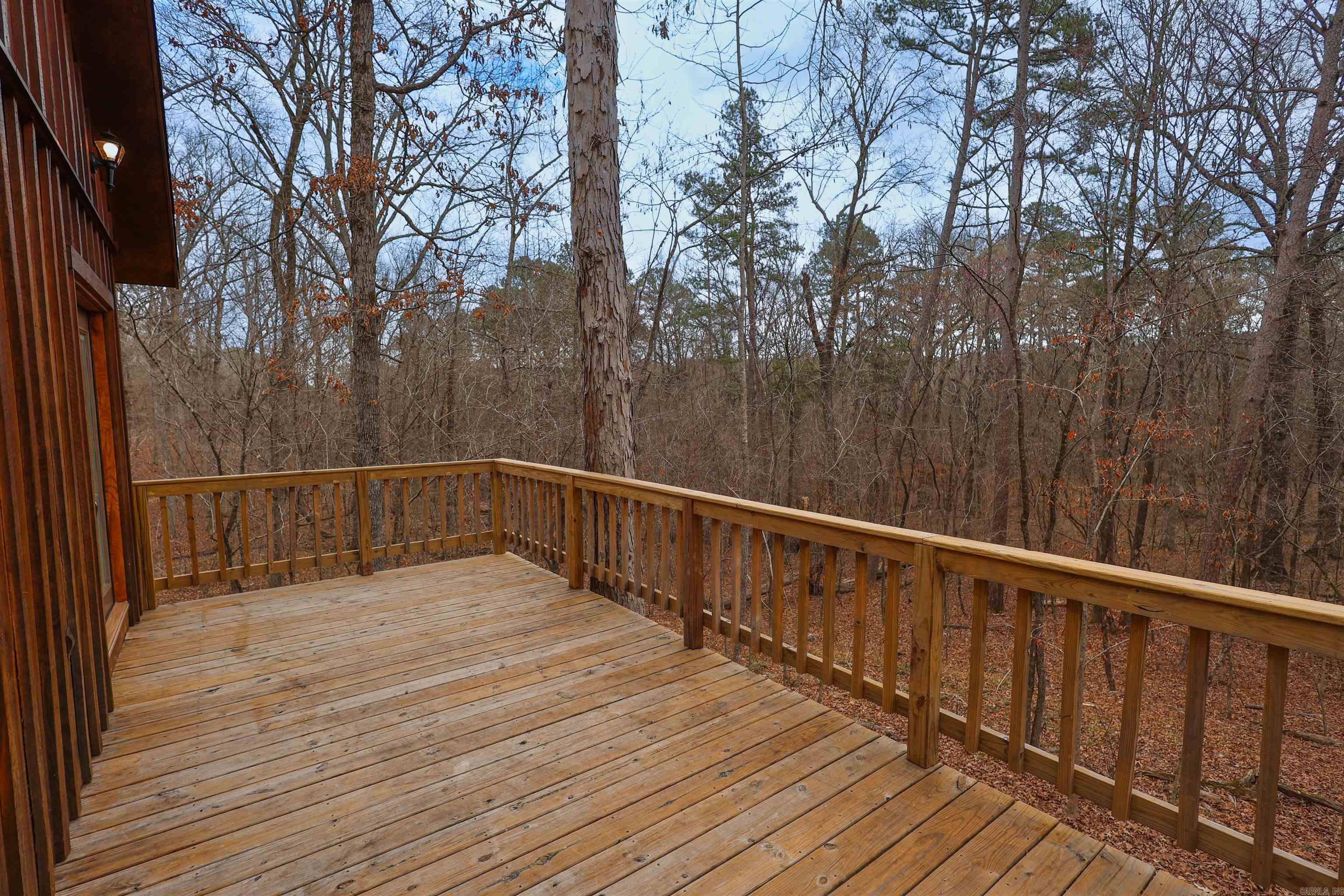 195 Bearce  Mount Ida, AR