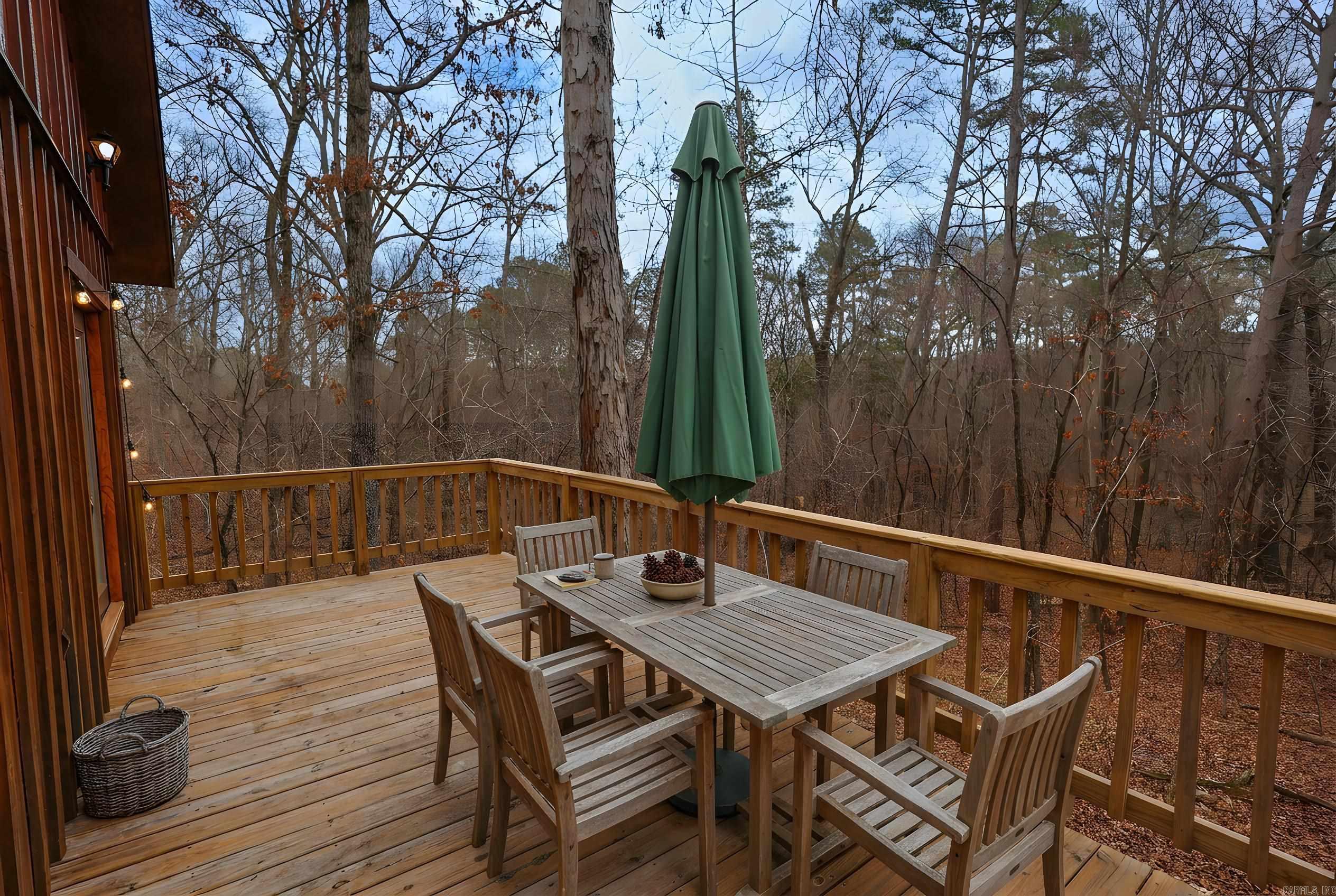 195 Bearce  Mount Ida, AR