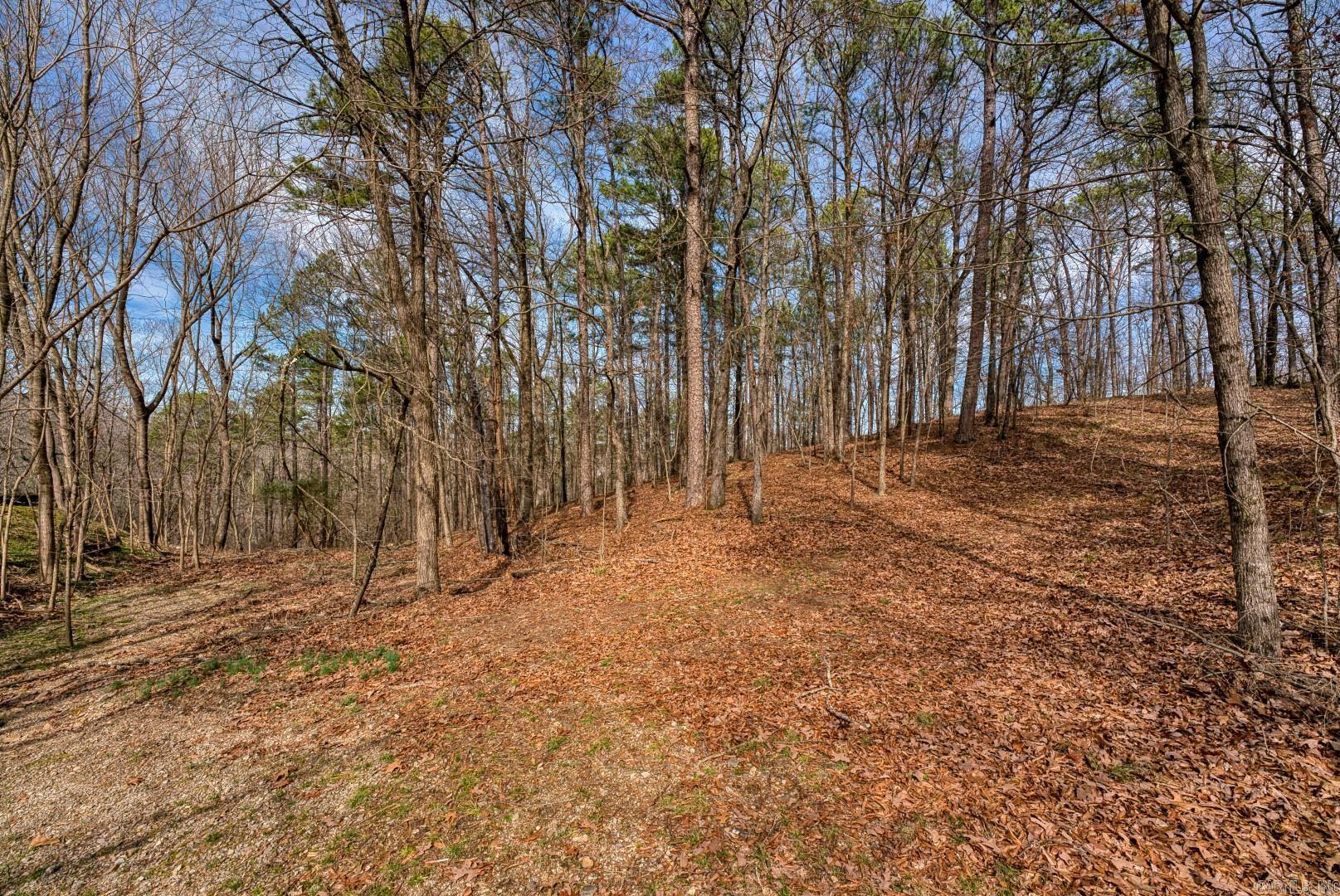 144 & 158 A&B Isaac Lane  Hot Springs, AR