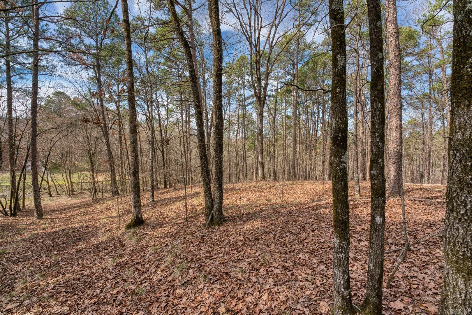 144 & 158 A&B Isaac Lane  Hot Springs, AR