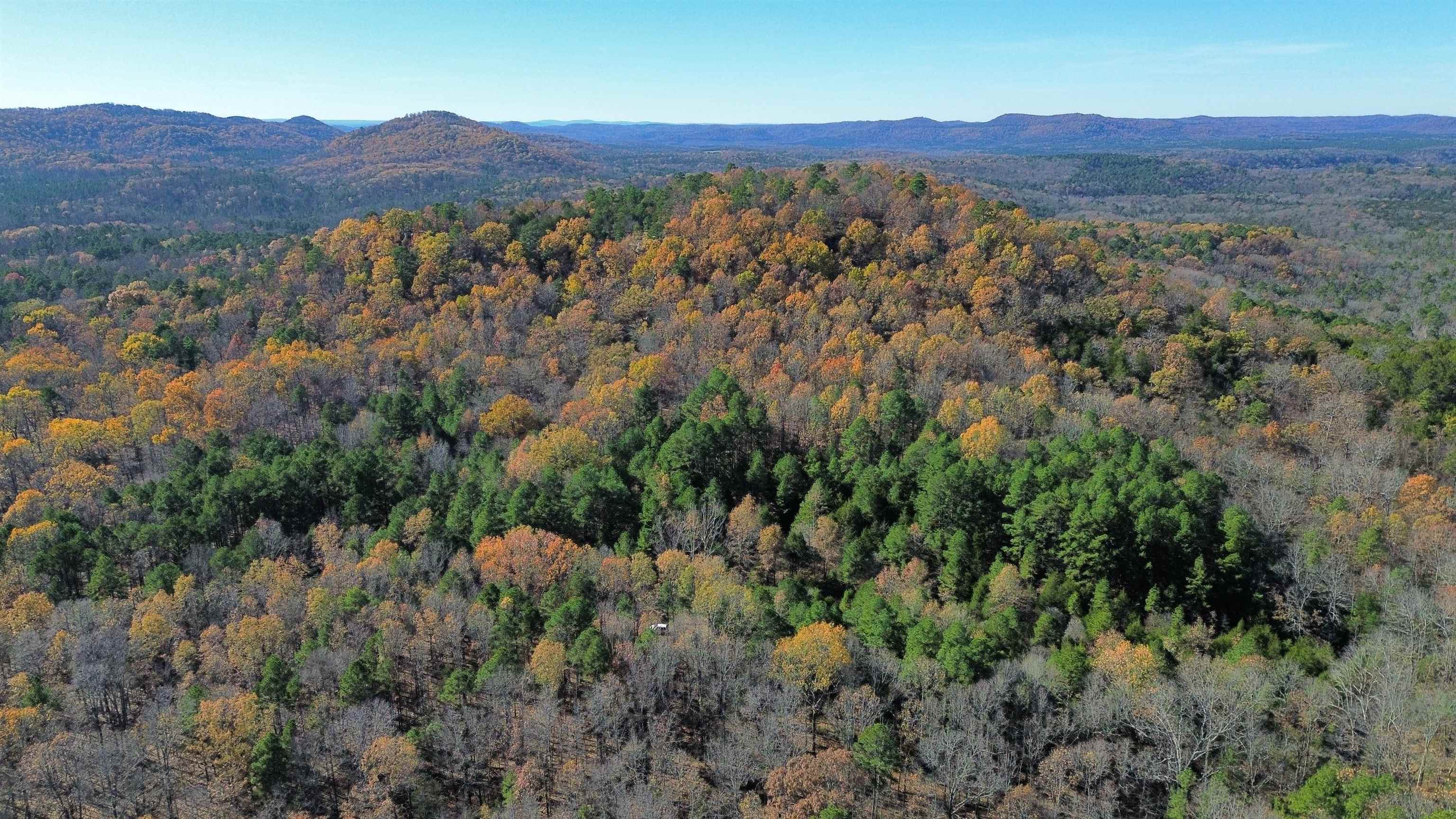 1980A Boyce  Melbourne, AR