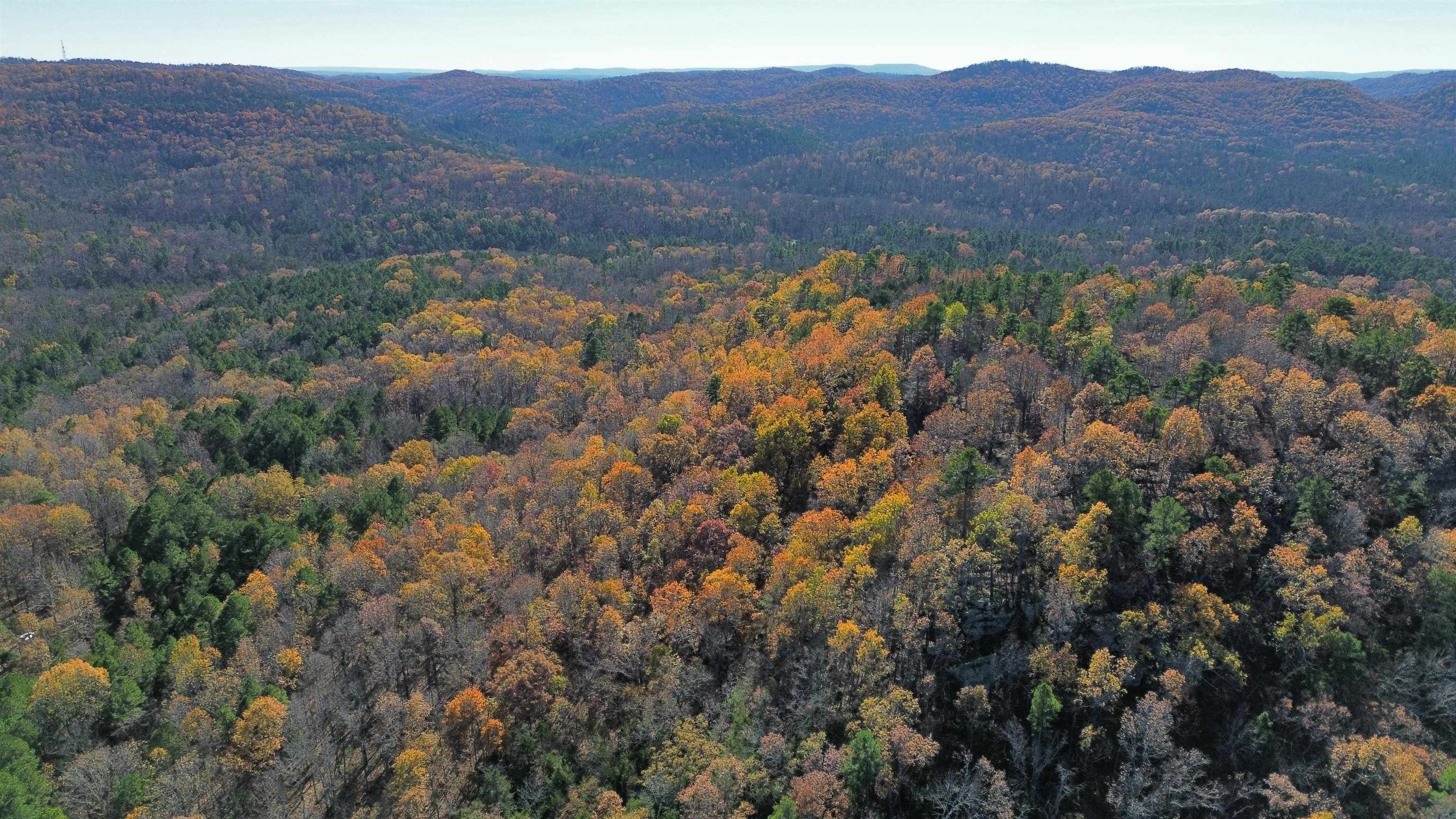 1980A Boyce  Melbourne, AR