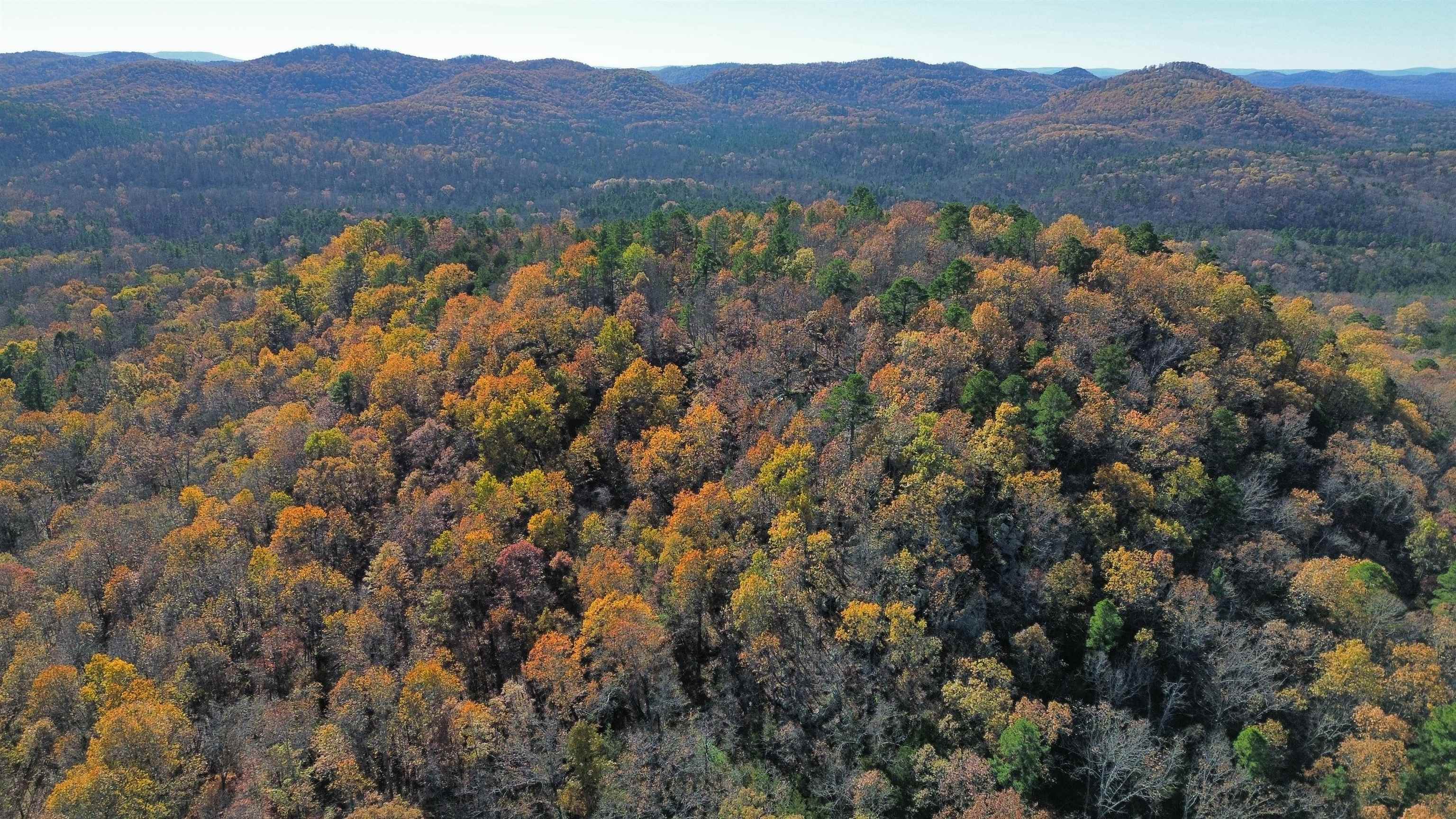 1980A Boyce  Melbourne, AR