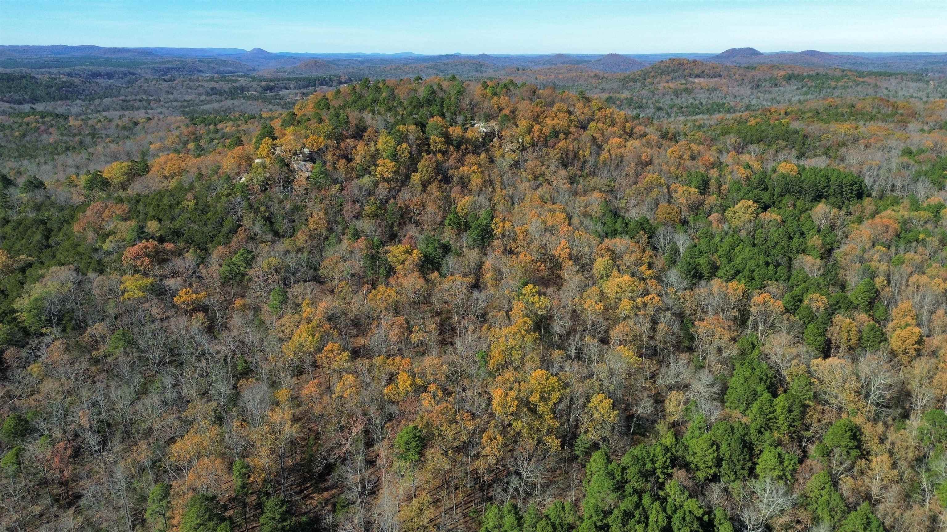 1980A Boyce  Melbourne, AR