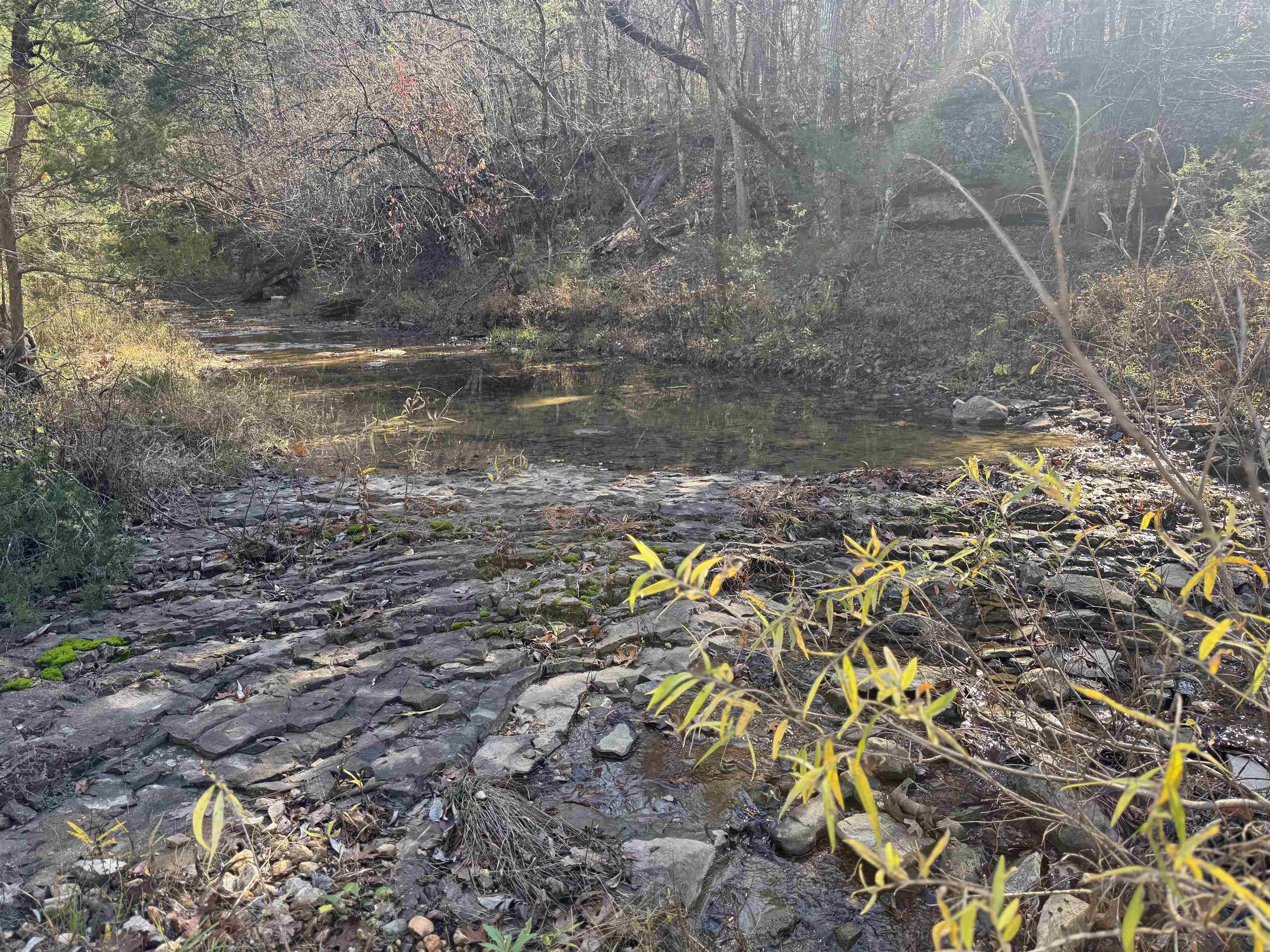 1980A Boyce  Melbourne, AR