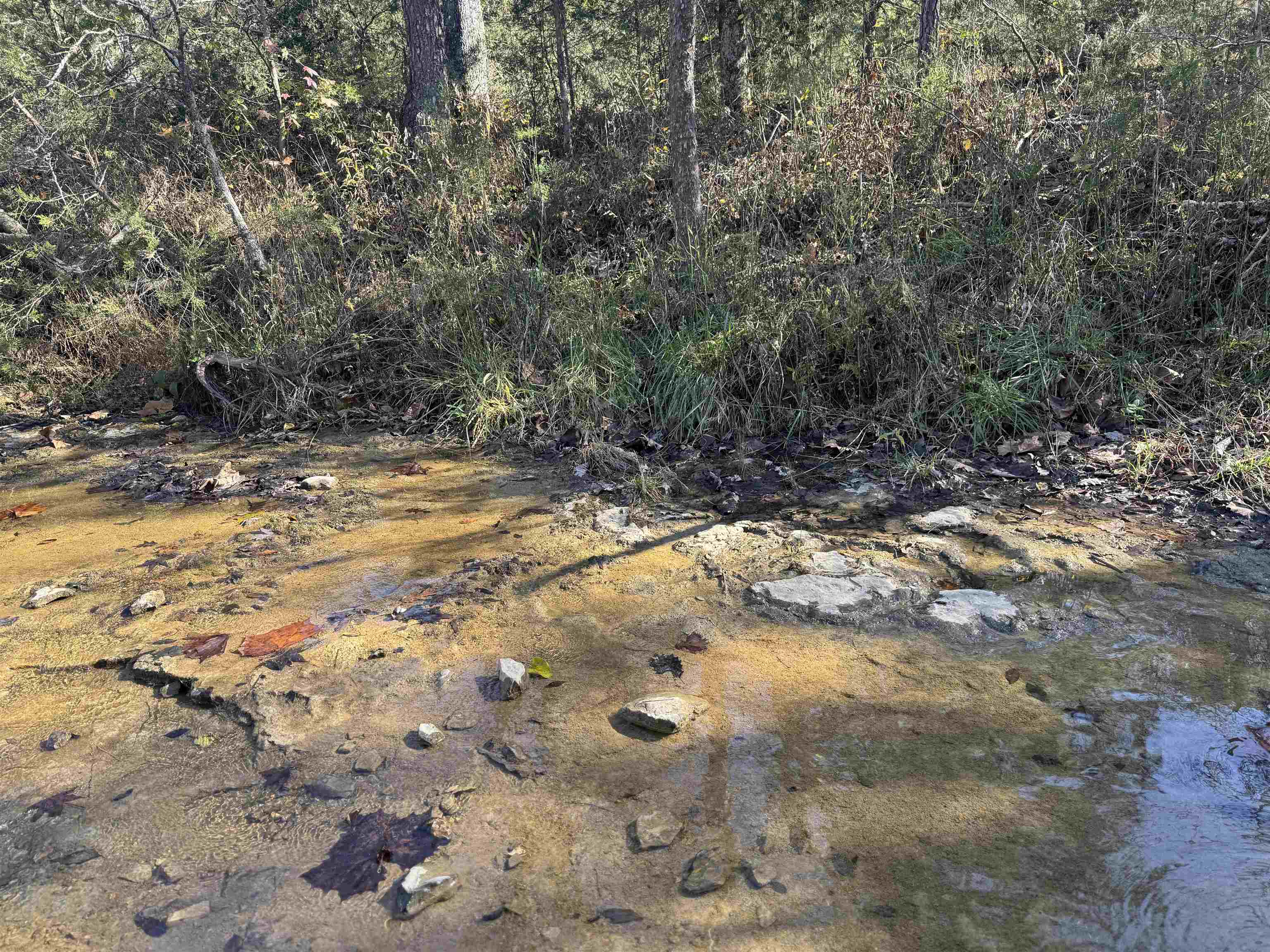 1980A Boyce  Melbourne, AR