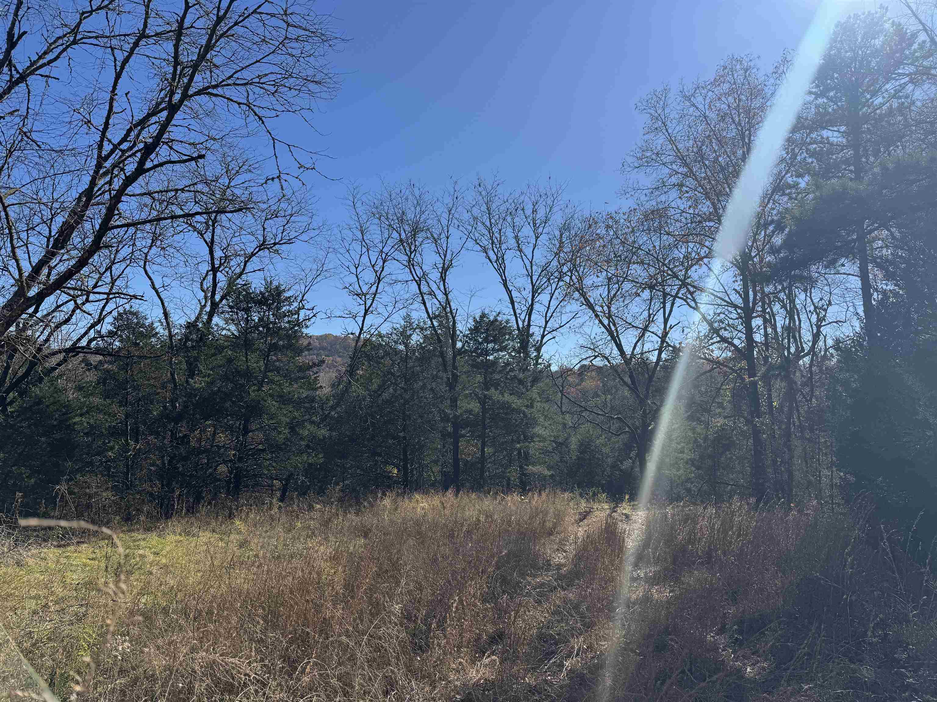 1980A Boyce  Melbourne, AR