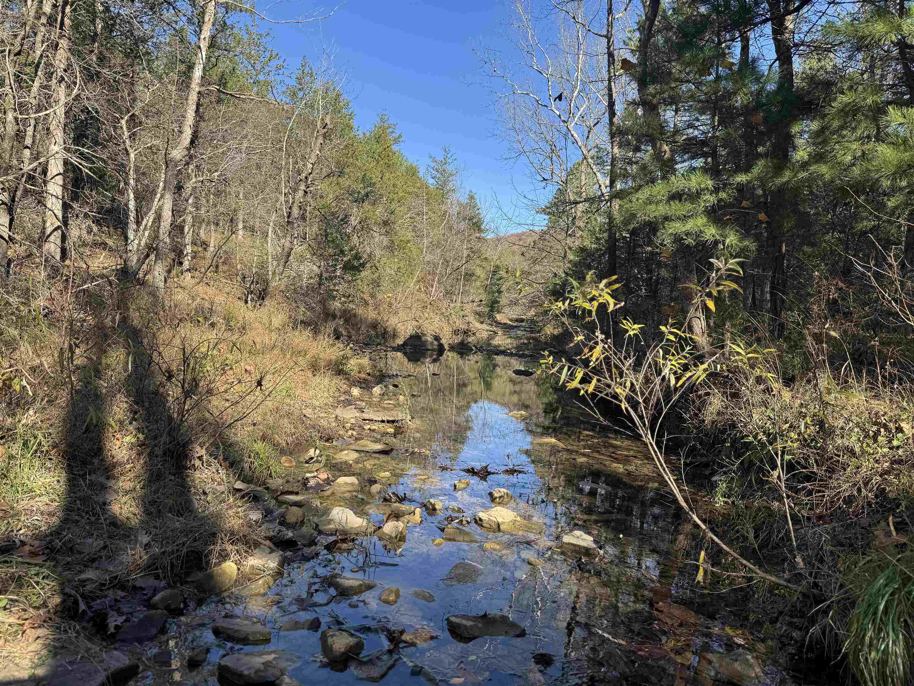 1980A Boyce  Melbourne, AR