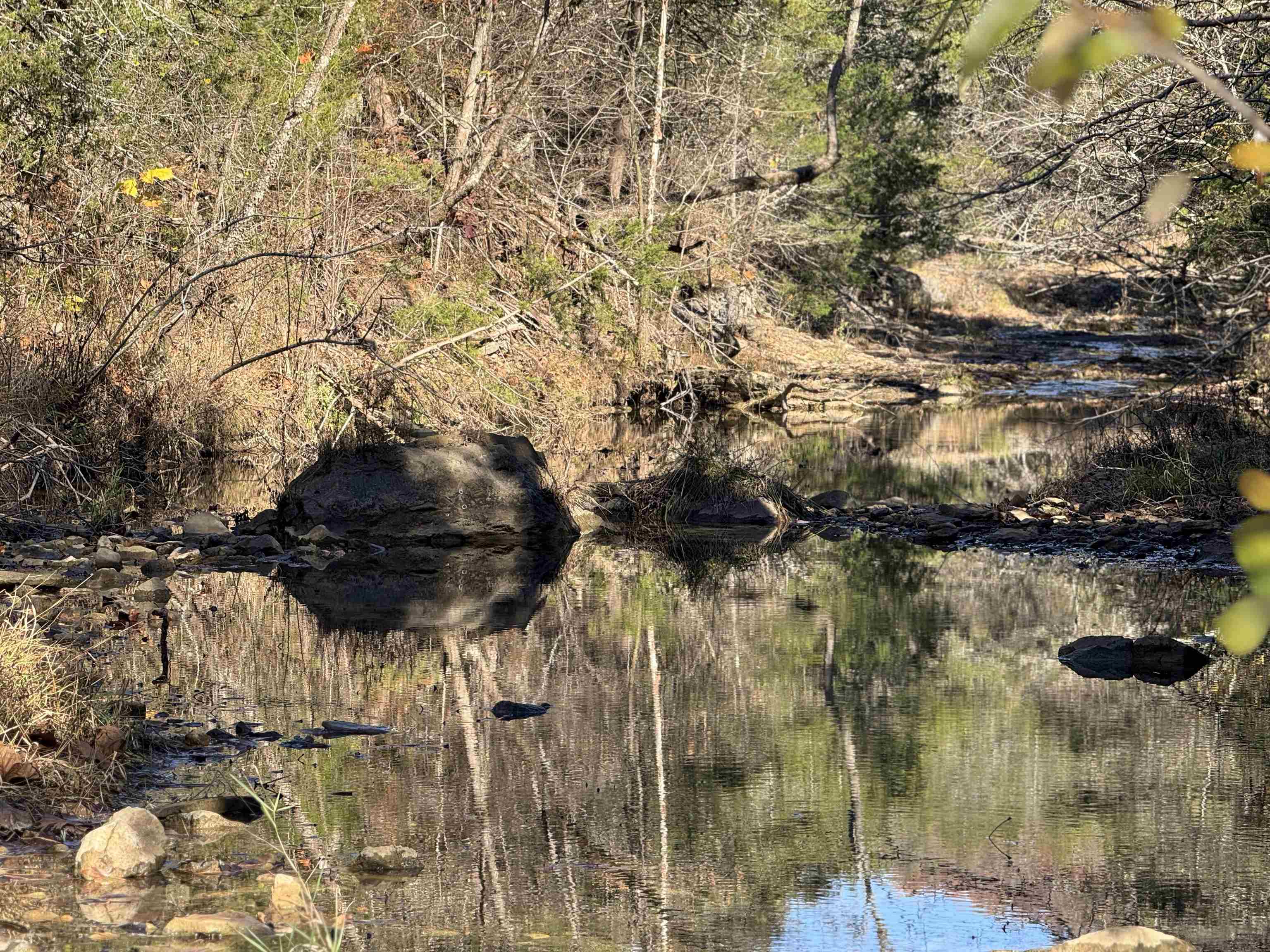 1980A Boyce  Melbourne, AR