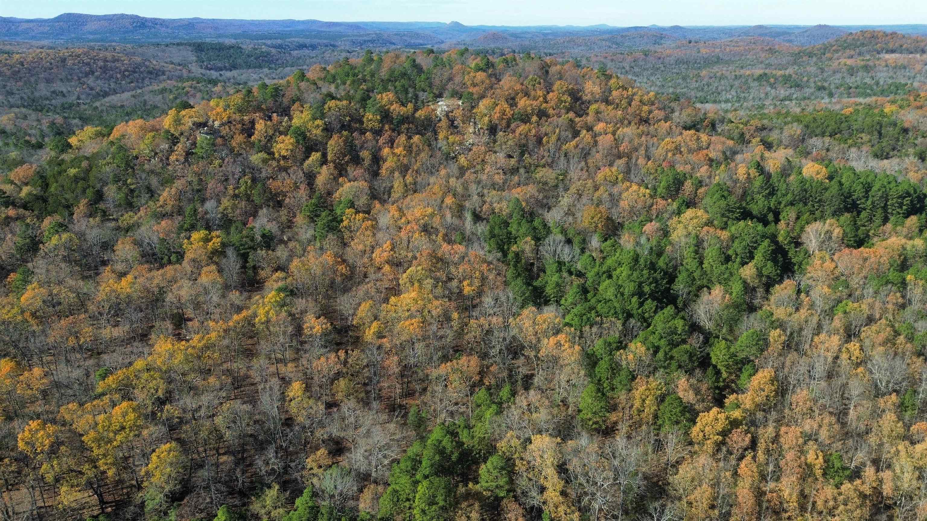 1980A Boyce  Melbourne, AR