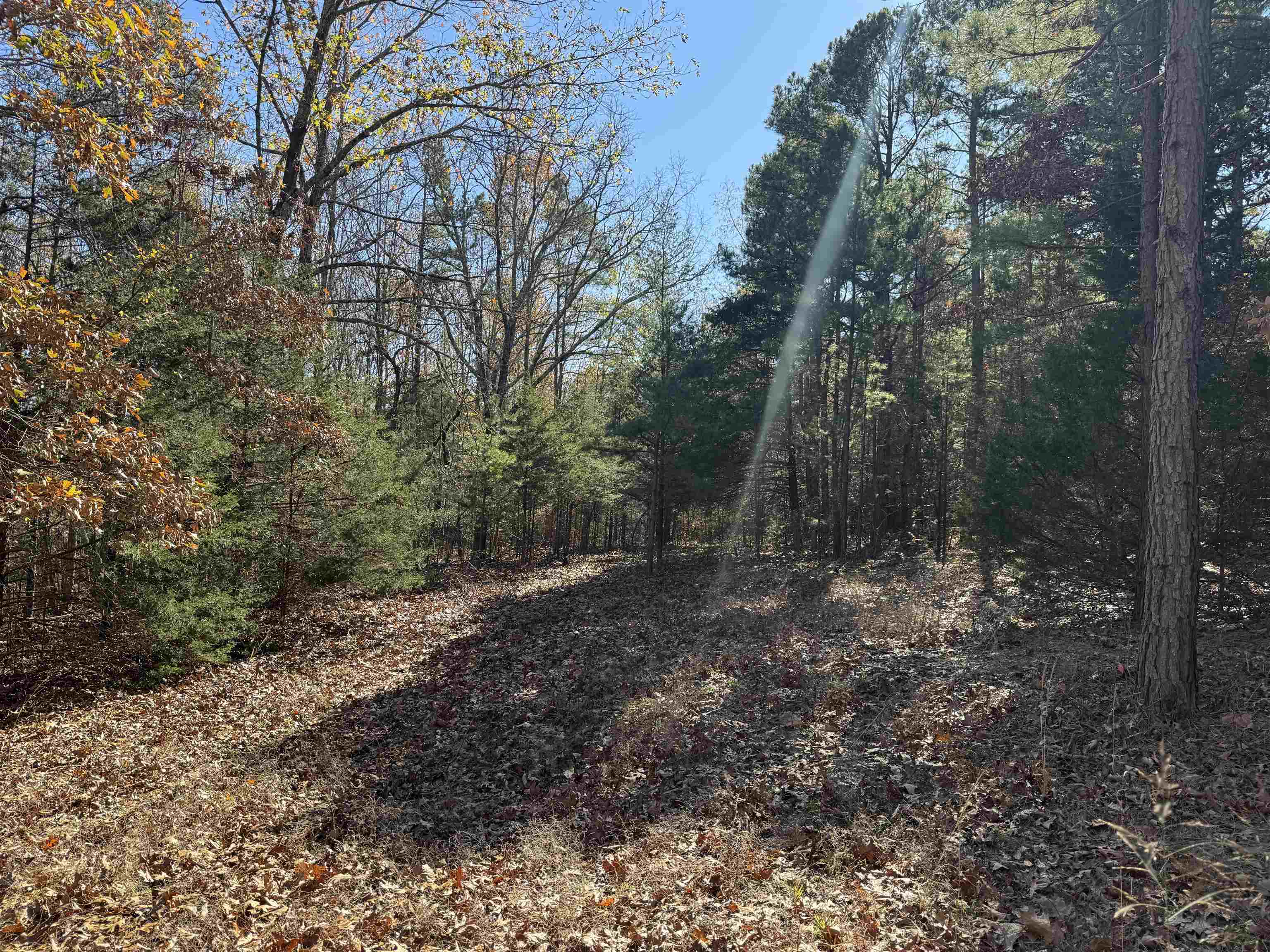 1980A Boyce  Melbourne, AR