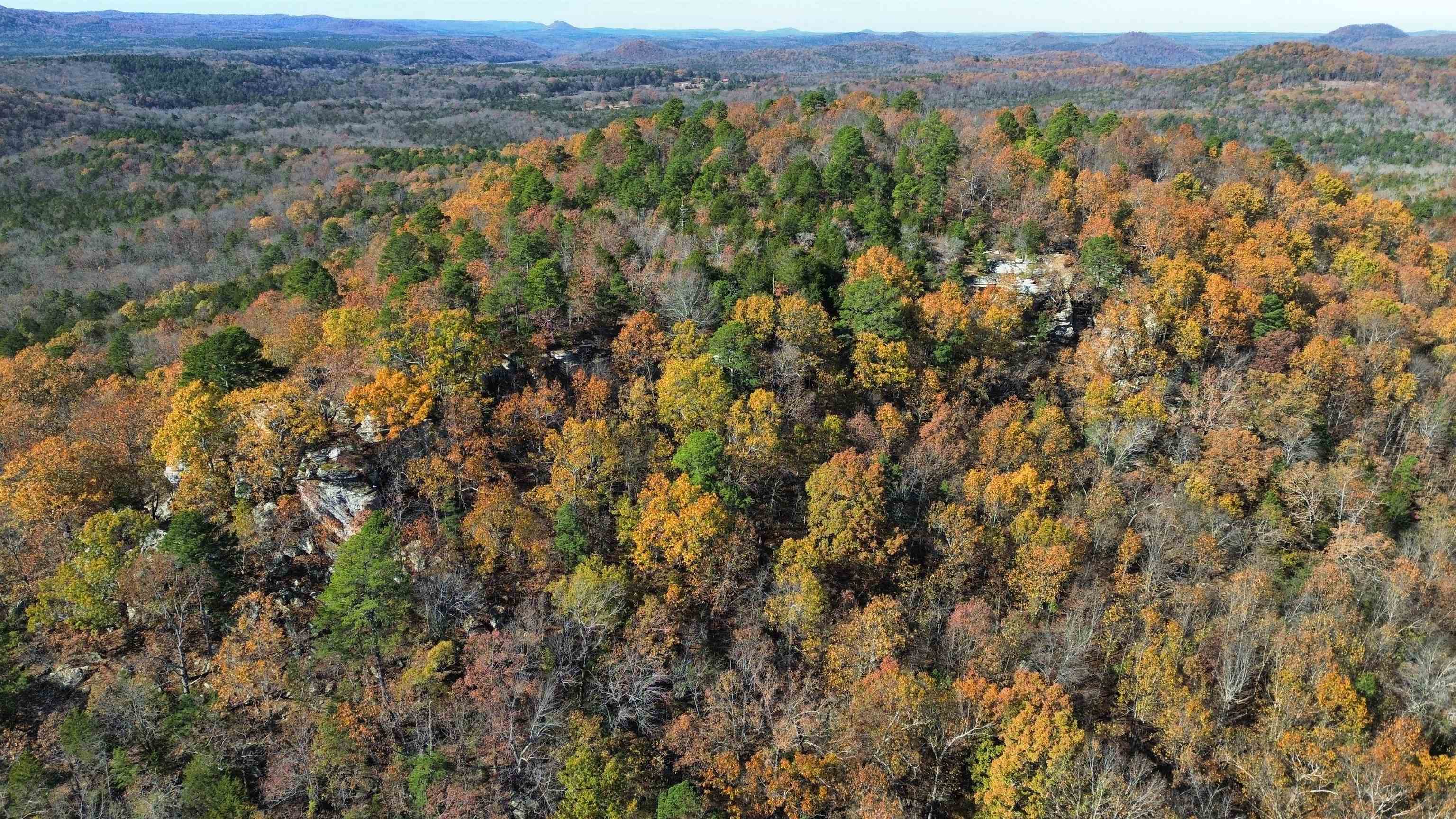 1980A Boyce  Melbourne, AR