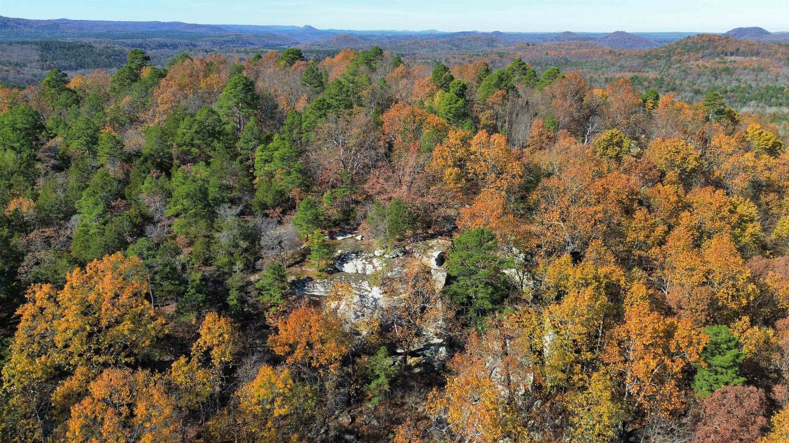 1980A Boyce  Melbourne, AR