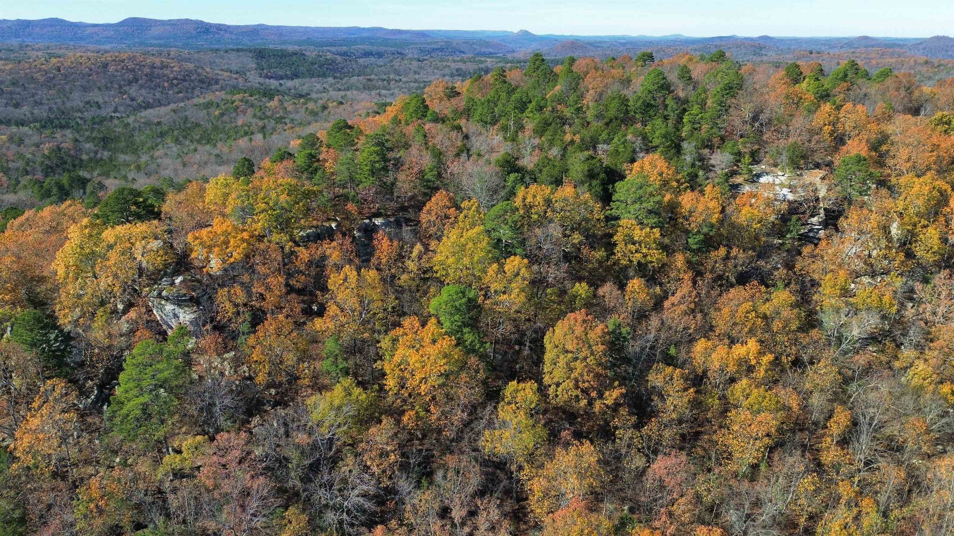 1980A Boyce  Melbourne, AR